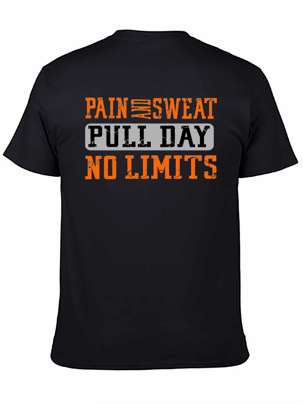 Pain Sweat Pull Day No Limits Workout T-Shirt