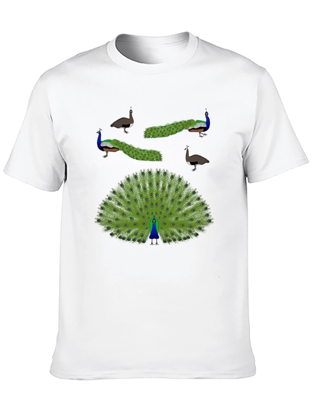 Peacock Graphic Print T-Shirt