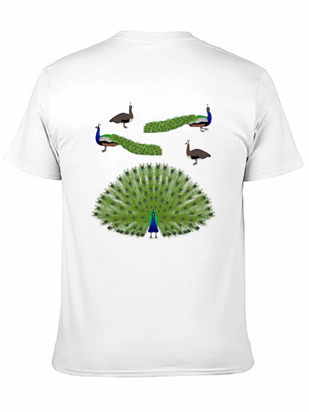 Peacock Graphic Print T-Shirt