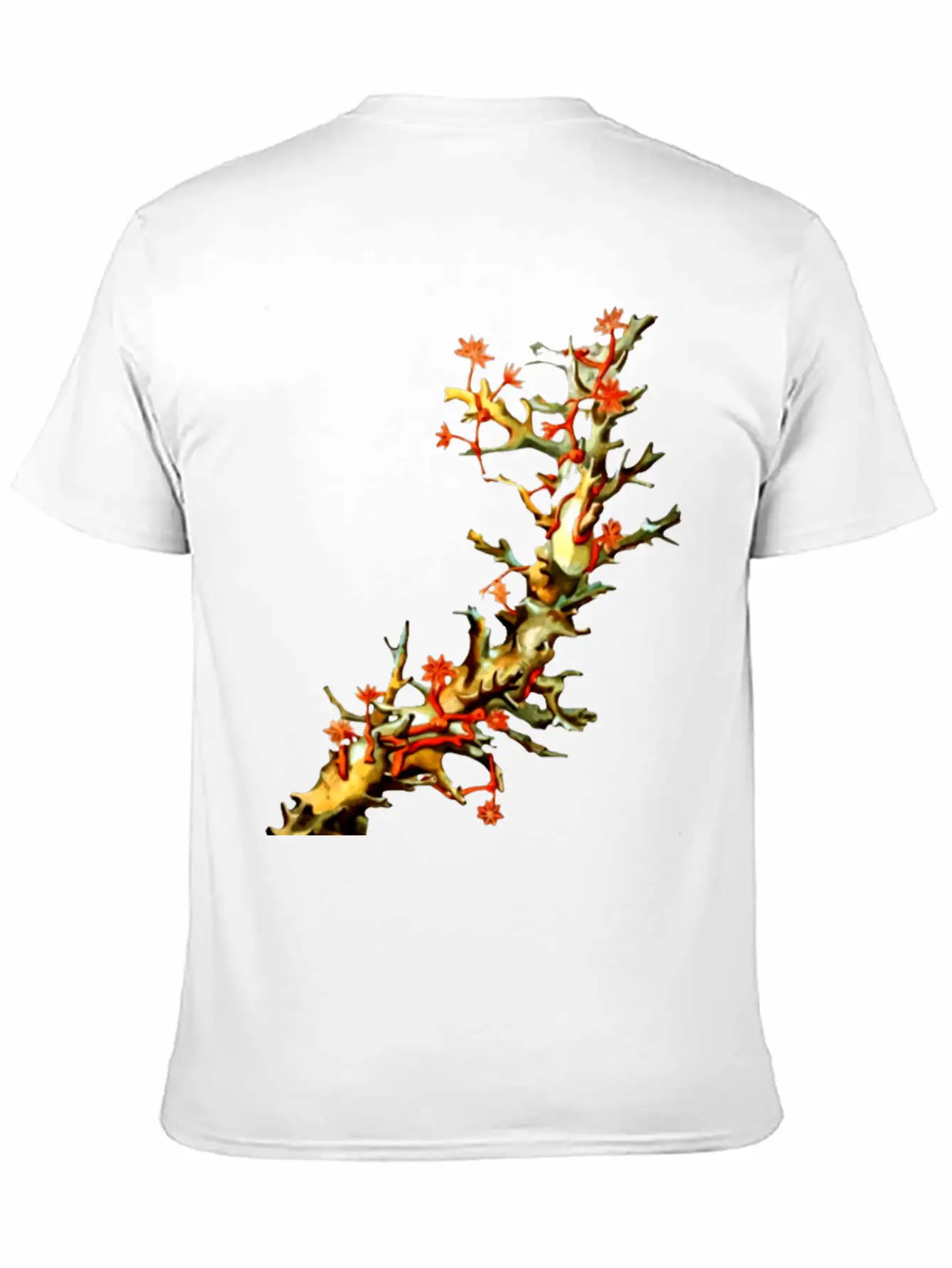 Coral 5 Unisex Casual T-Shirt – Clean Design For Daily Comfort