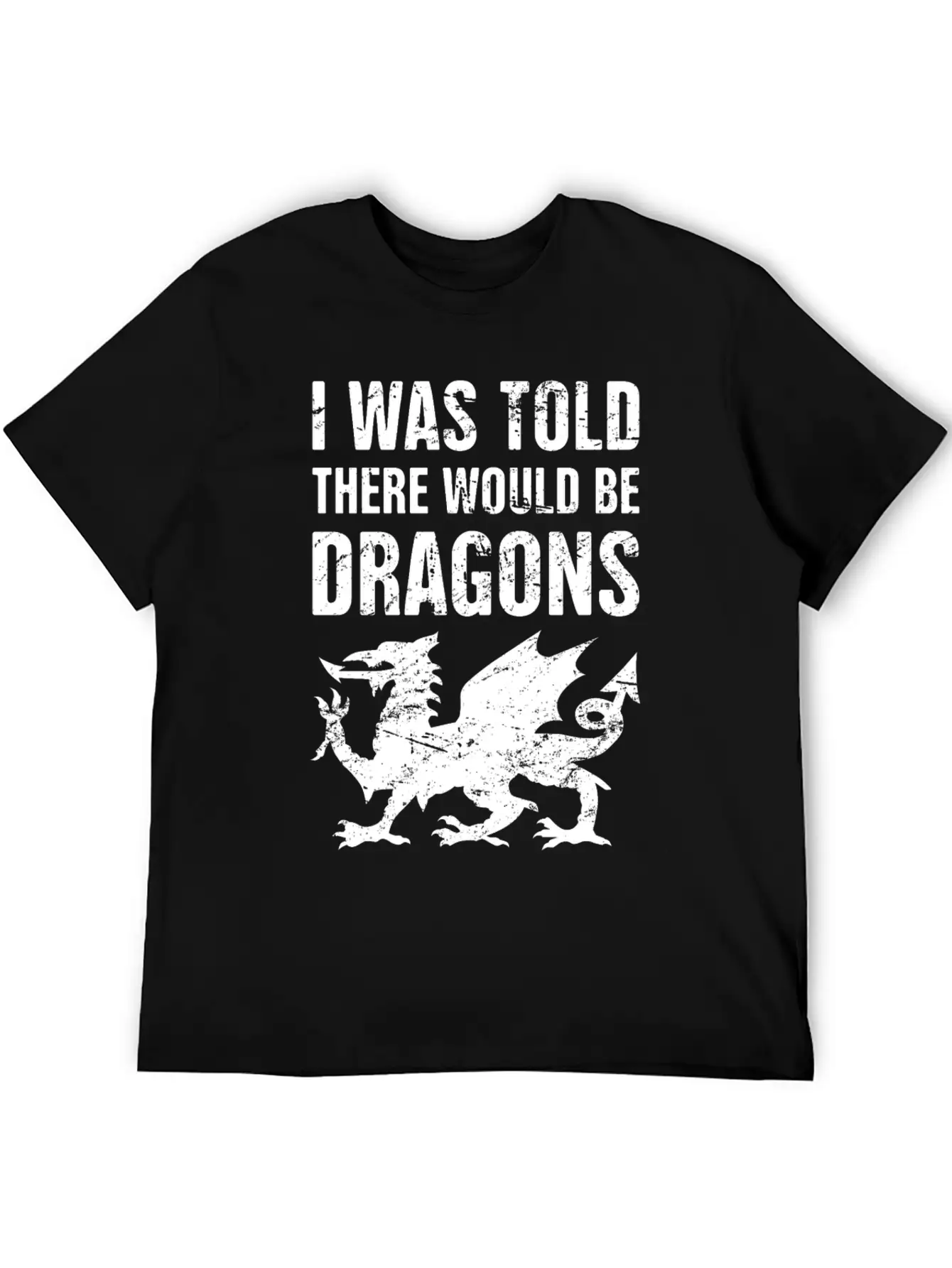 Funny Renaissance Festival Unisex Casual T-Shirt – Clean Design For Daily Comfort