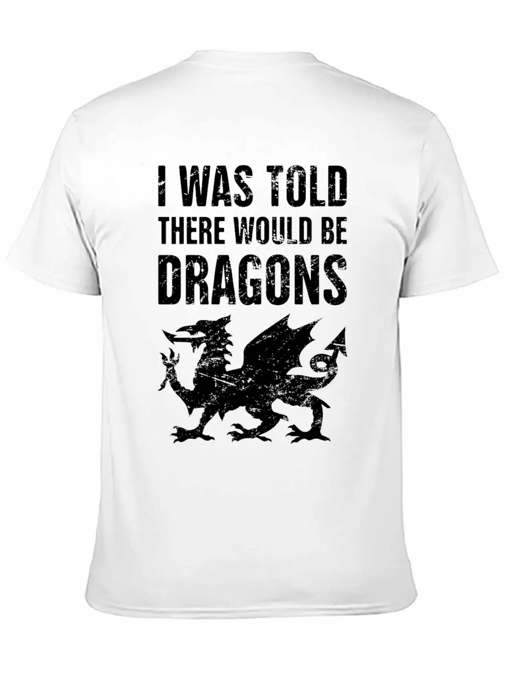 Funny Renaissance Festival Unisex Casual T-Shirt – Clean Design For Daily Comfort