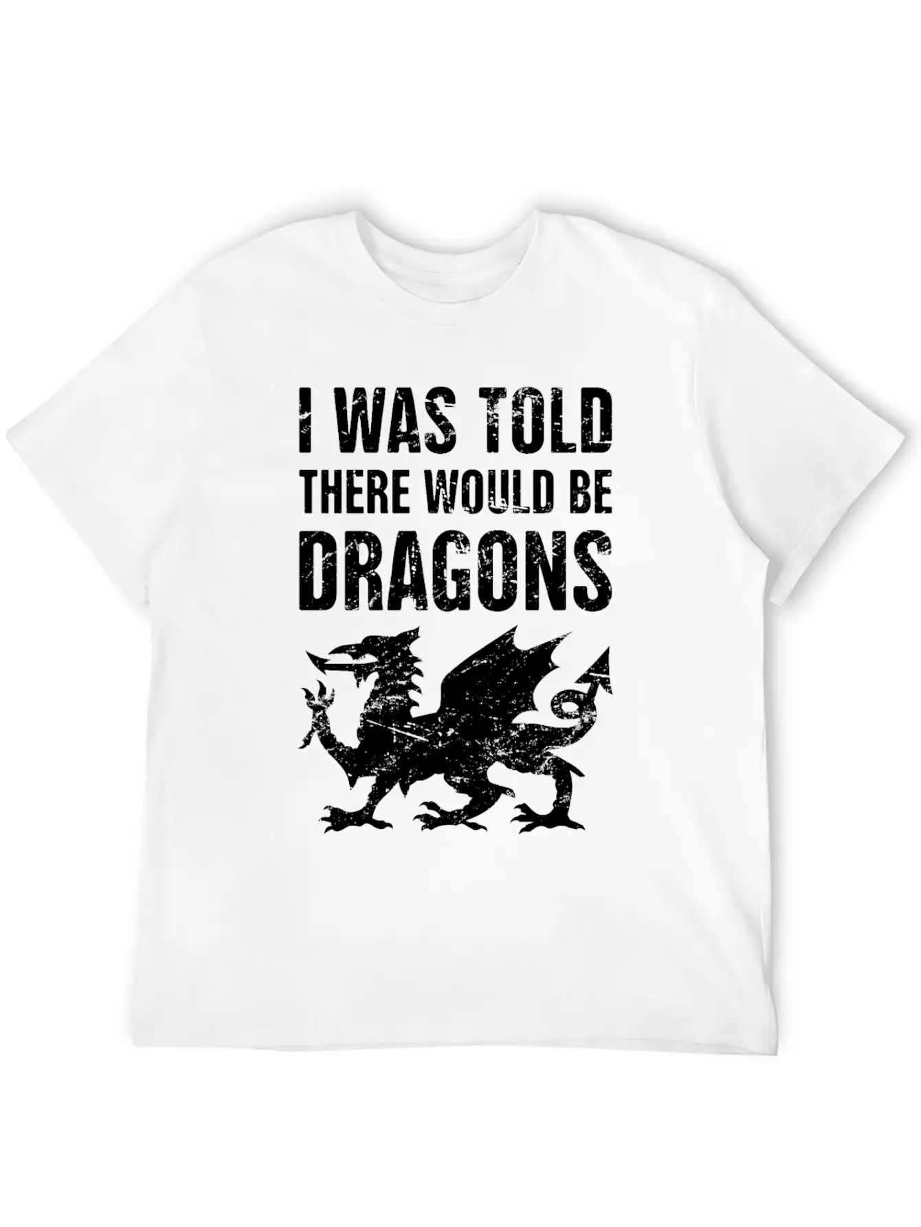 Funny Renaissance Festival Unisex Casual T-Shirt – Clean Design For Daily Comfort