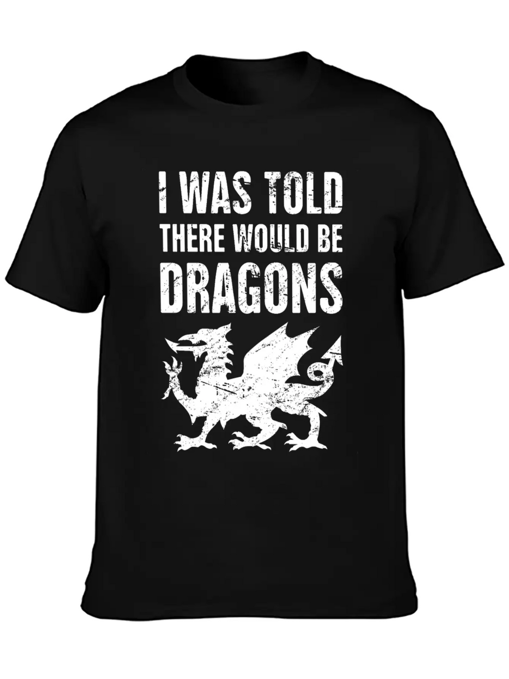 Funny Renaissance Festival Unisex Casual T-Shirt – Clean Design For Daily Comfort