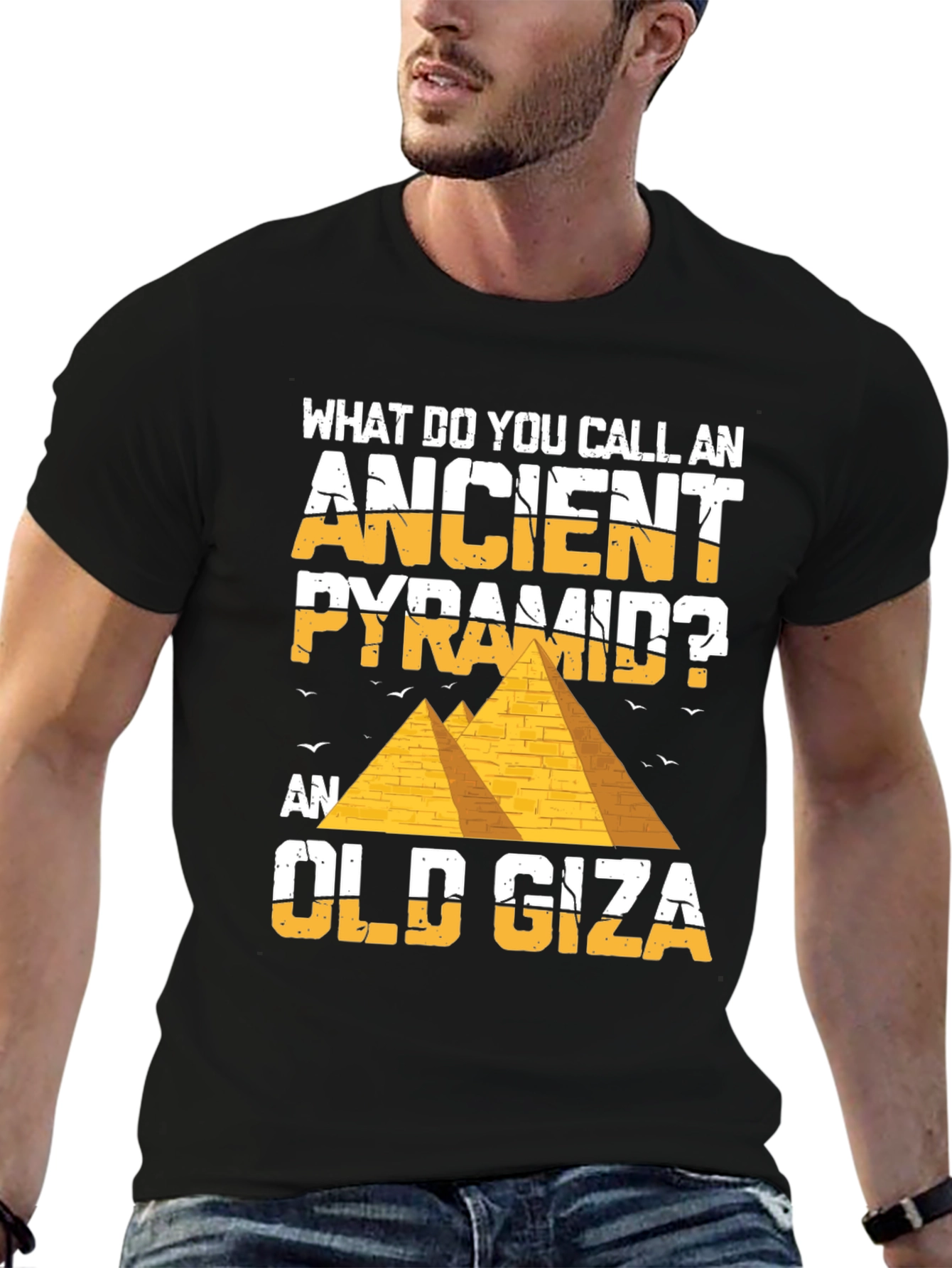 Ancient Pyramid Pun T-Shirt