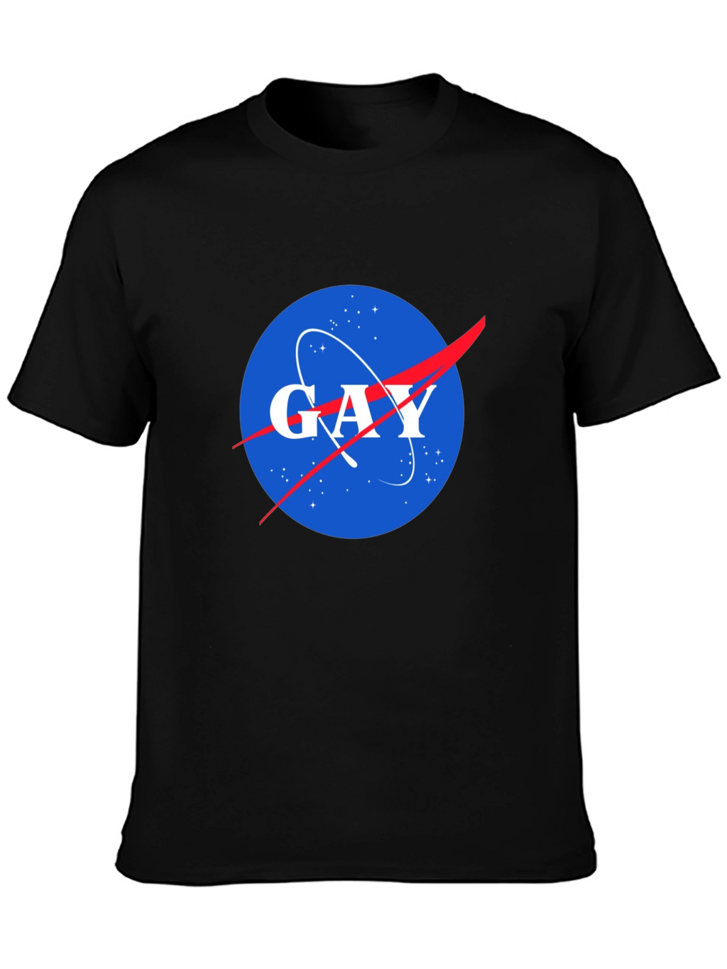 NASA Spoof Gay Logo Graphic T-Shirt