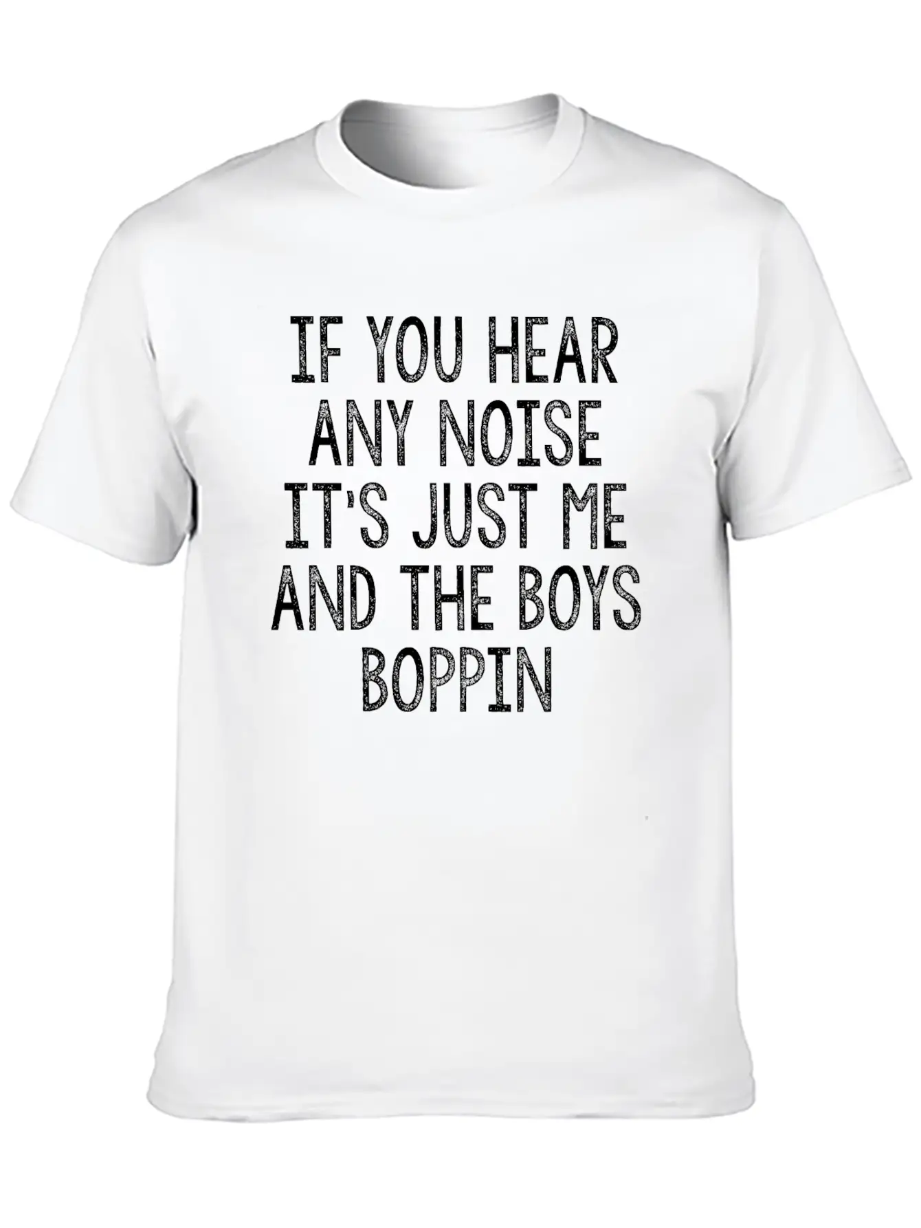 IF YOU HEAR ANY NOISE IT S JUST ME AND THE BOYS Casual Graphic T-Shirt – Simple And Comfortable Daily Wear