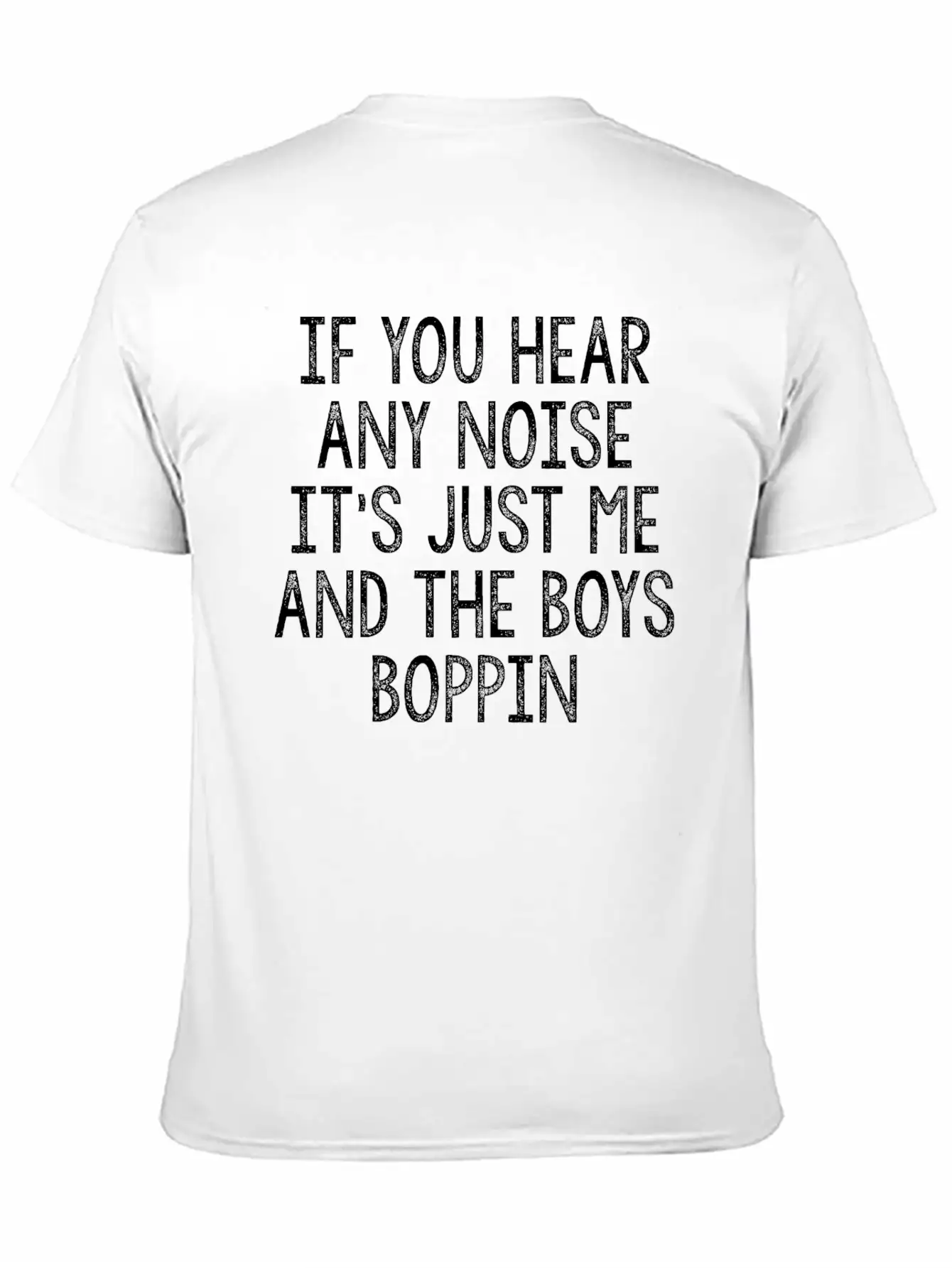 IF YOU HEAR ANY NOISE IT S JUST ME AND THE BOYS Casual Graphic T-Shirt – Simple And Comfortable Daily Wear
