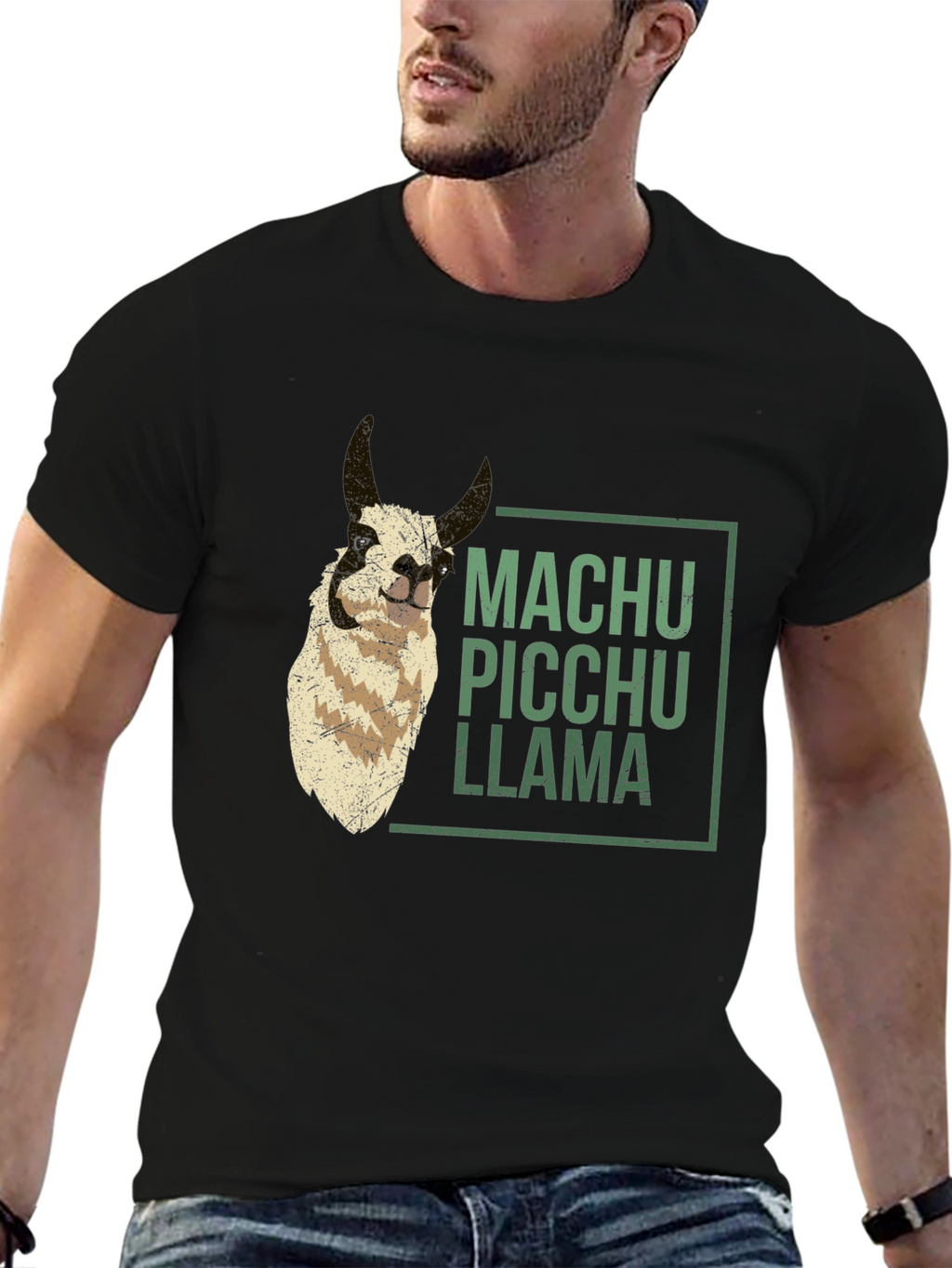 Machu Picchu Llama Graphic Tee - Black Crew Neck