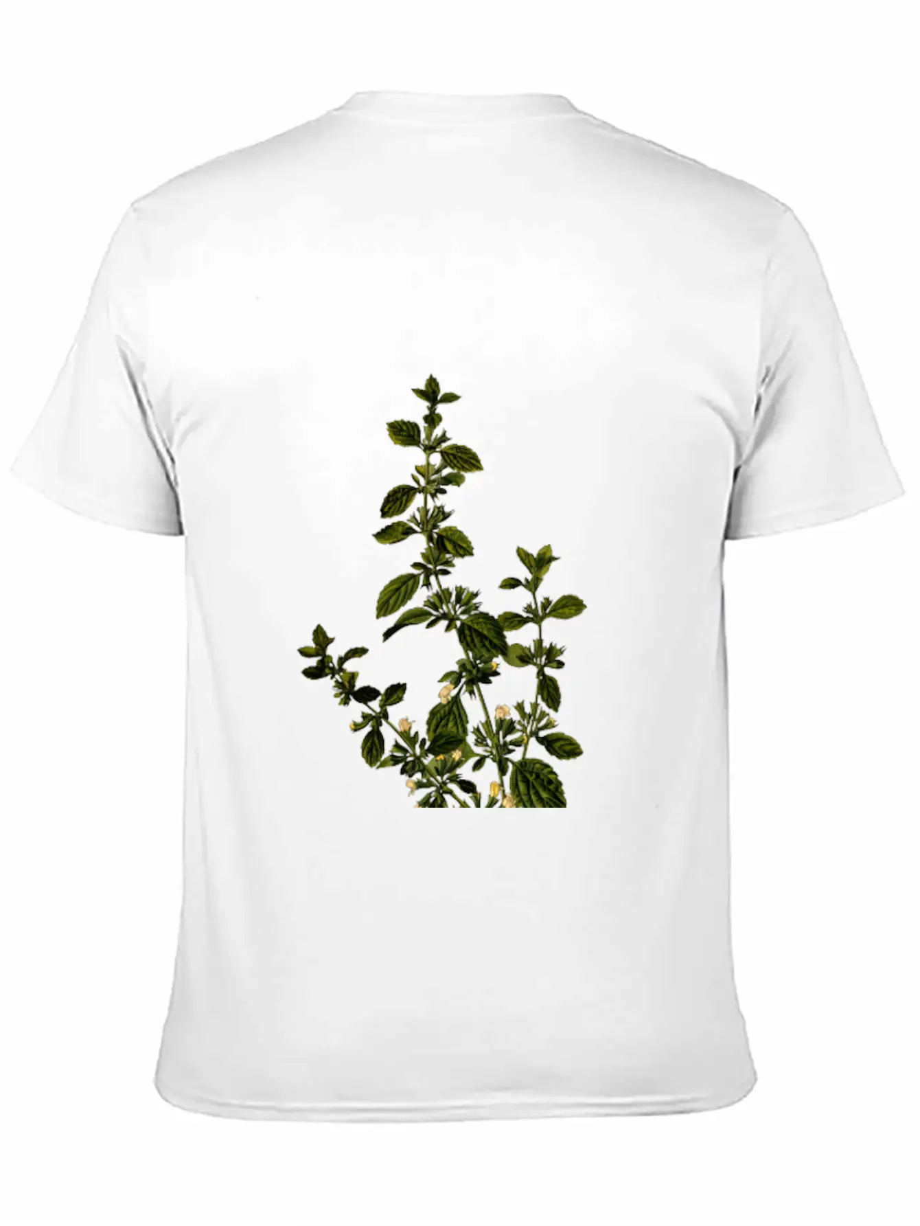 Lemon Balm (detailed) Unisex Casual T-Shirt – Clean Design For Daily Comfort
