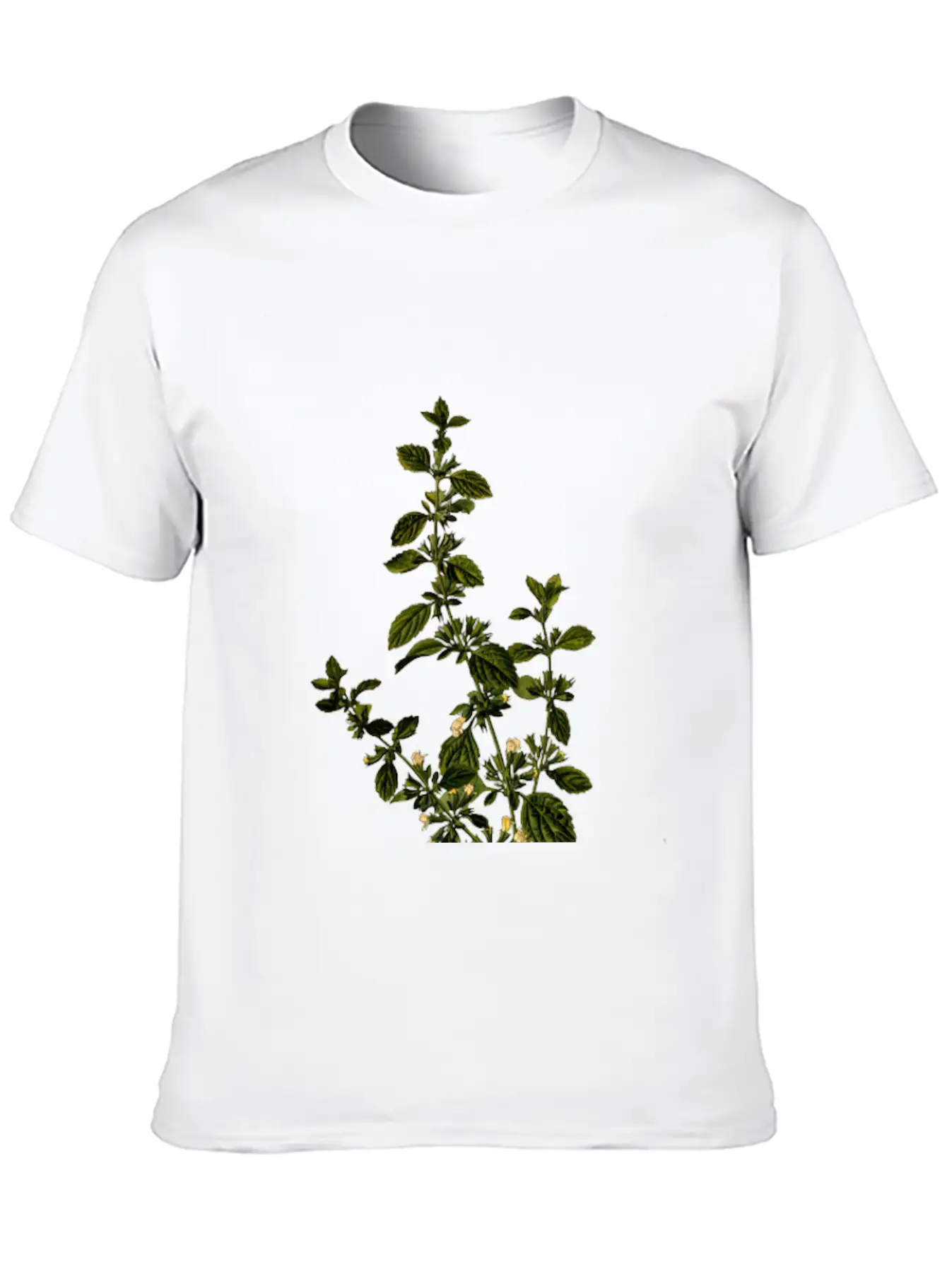 Lemon Balm (detailed) Unisex Casual T-Shirt – Clean Design For Daily Comfort