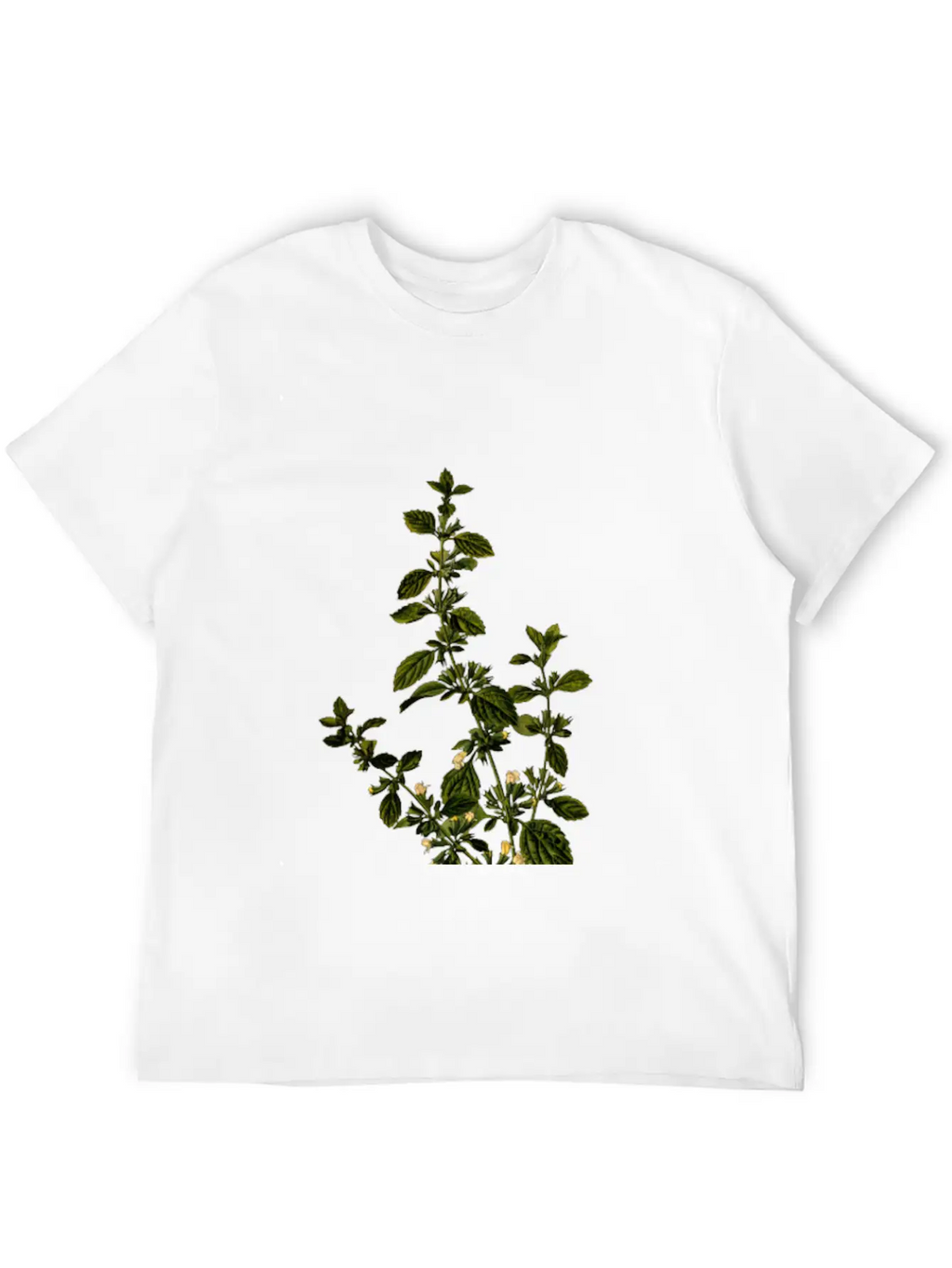 Lemon Balm (detailed) Unisex Casual T-Shirt – Clean Design For Daily Comfort