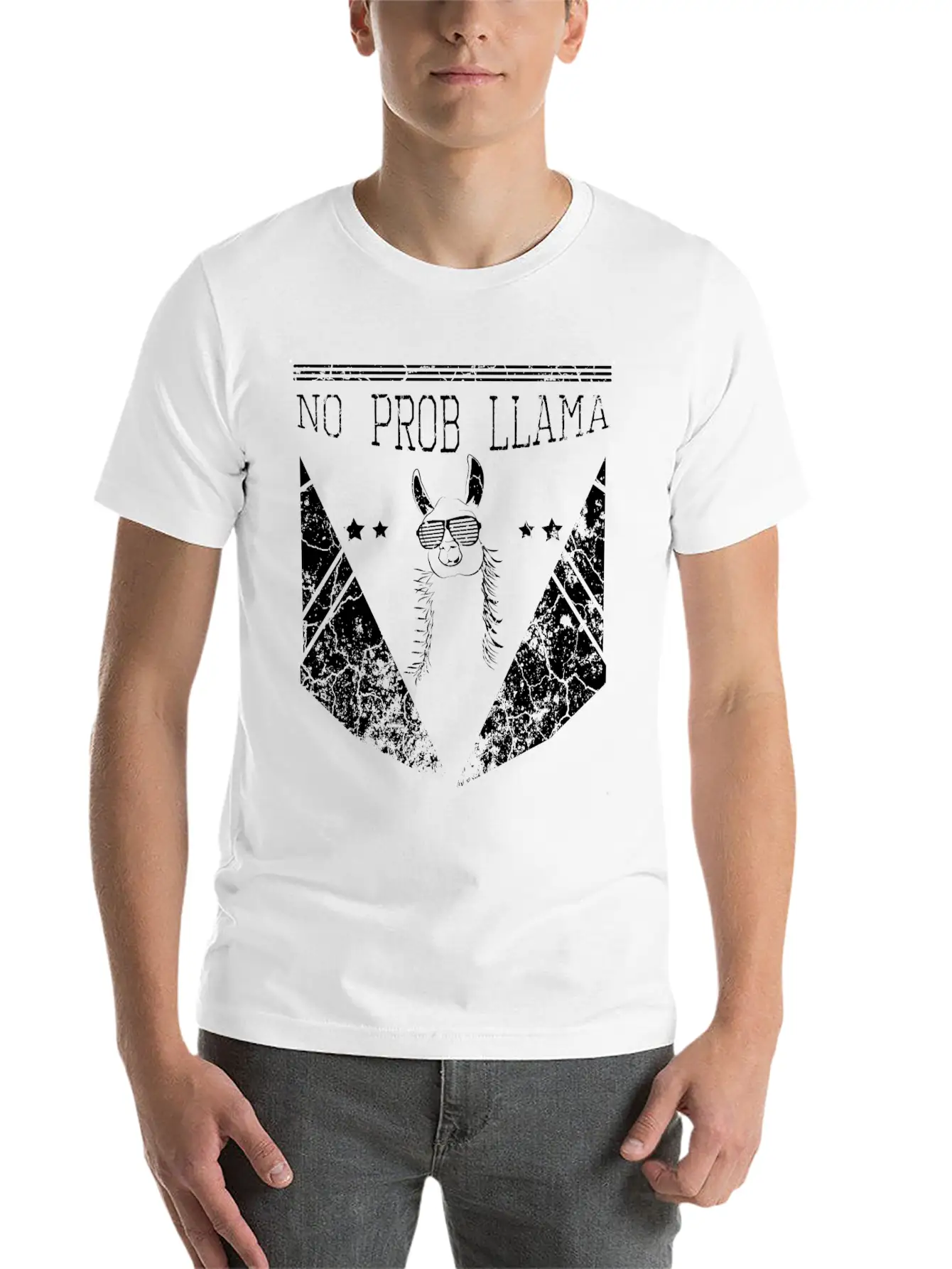 No Problem Llama Relax Chill Alpaca Breathable Soft Cotton T-Shirt – Timeless Casual Look