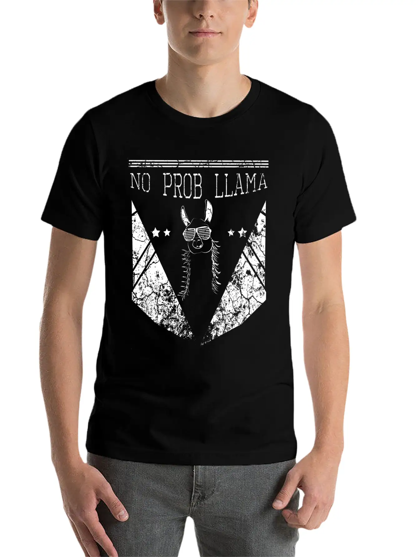 No Problem Llama Relax Chill Alpaca Breathable Soft Cotton T-Shirt – Timeless Casual Look