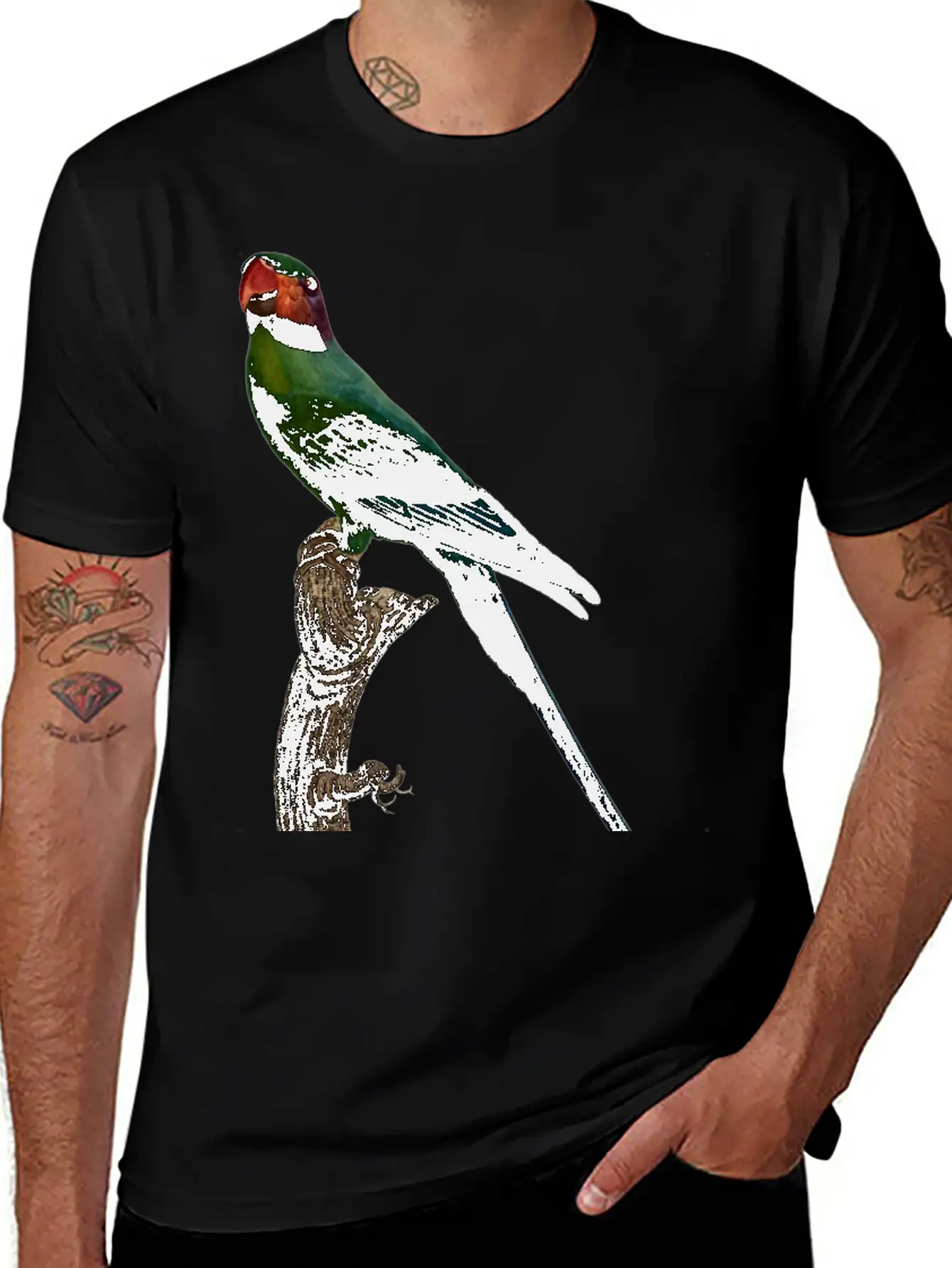 Parrot 7 Unisex Short Sleeve Soft Cotton T-Shirt – Casual Everyday Wear
