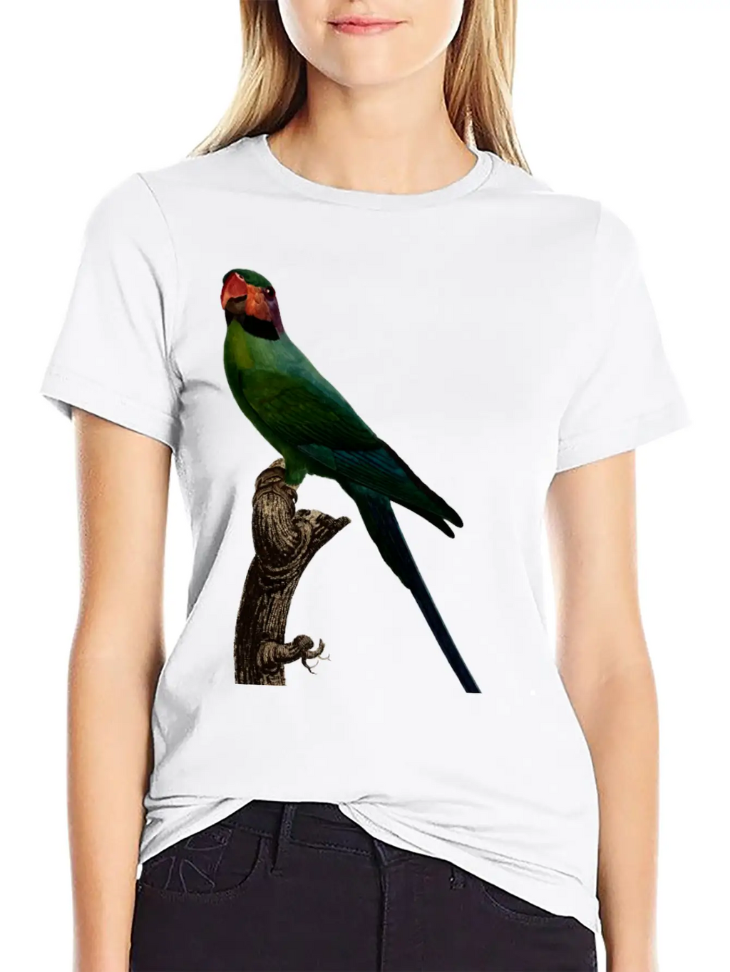 Parrot 7 Unisex Short Sleeve Soft Cotton T-Shirt – Casual Everyday Wear