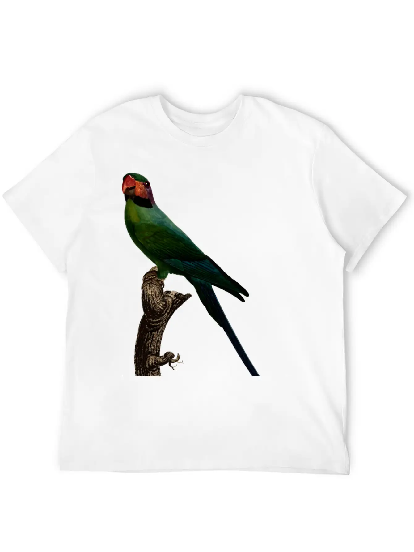 Parrot 7 Unisex Short Sleeve Soft Cotton T-Shirt – Casual Everyday Wear