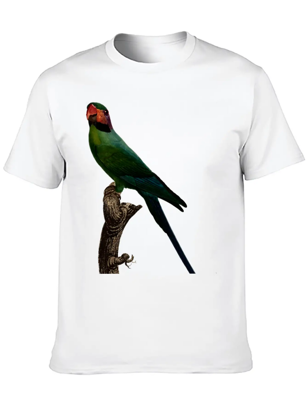 Parrot 7 Unisex Short Sleeve Soft Cotton T-Shirt – Casual Everyday Wear