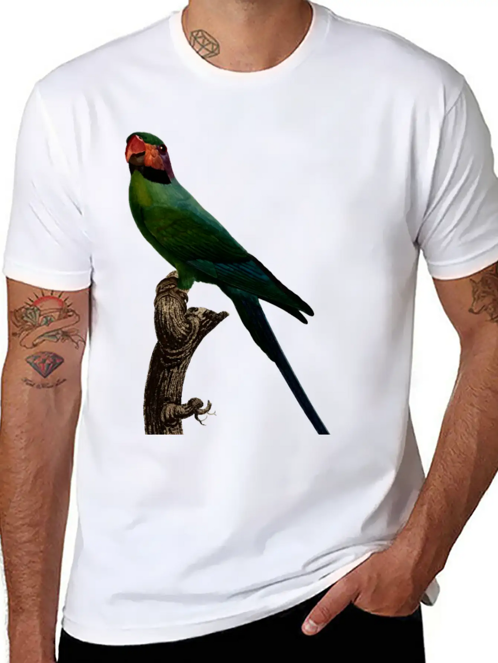 Parrot 7 Unisex Short Sleeve Soft Cotton T-Shirt – Casual Everyday Wear
