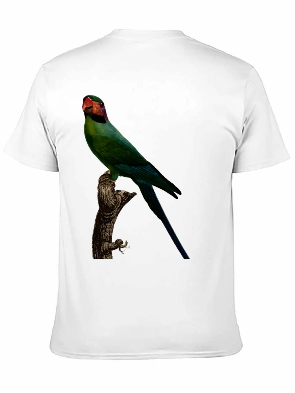 Parrot 7 Unisex Short Sleeve Soft Cotton T-Shirt – Casual Everyday Wear