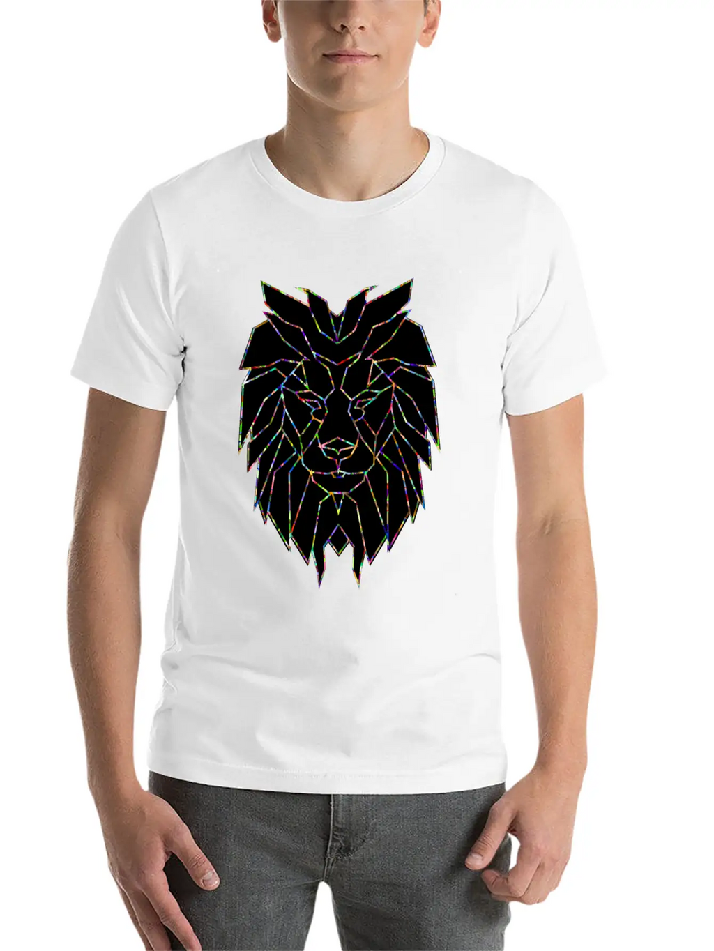 Powerful Lion Leo Sign Nature Courage Hustle Grind Casual Graphic T-Shirt – Simple And Comfortable Daily Wear