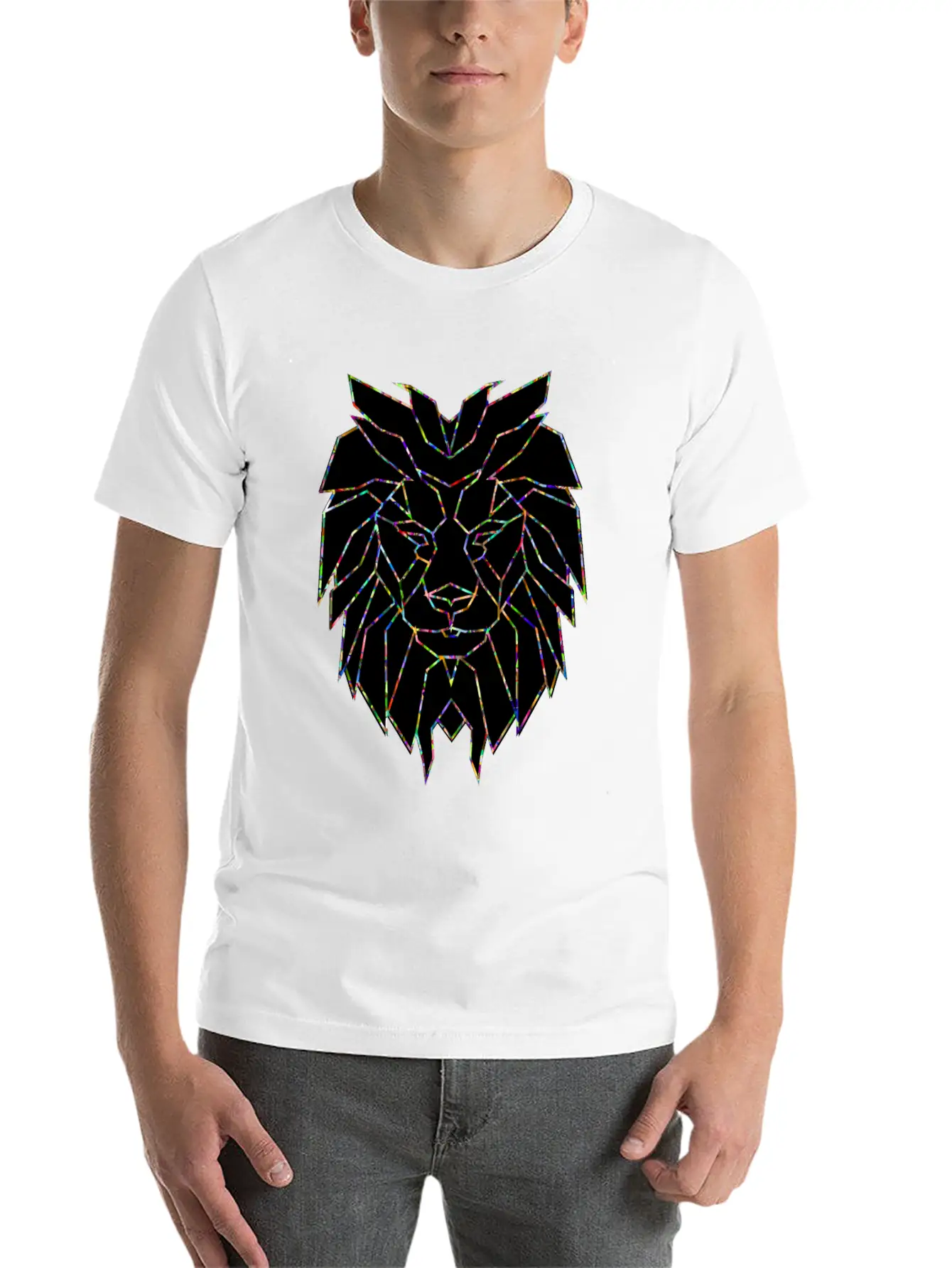 Powerful Lion Leo Sign Nature Courage Hustle Grind Casual Graphic T-Shirt – Simple And Comfortable Daily Wear