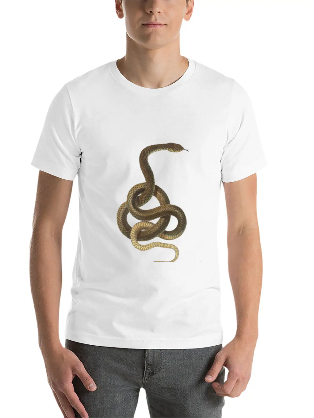 Snake Stylish Everyday T-Shirt – Unisex Basic Cotton Tee