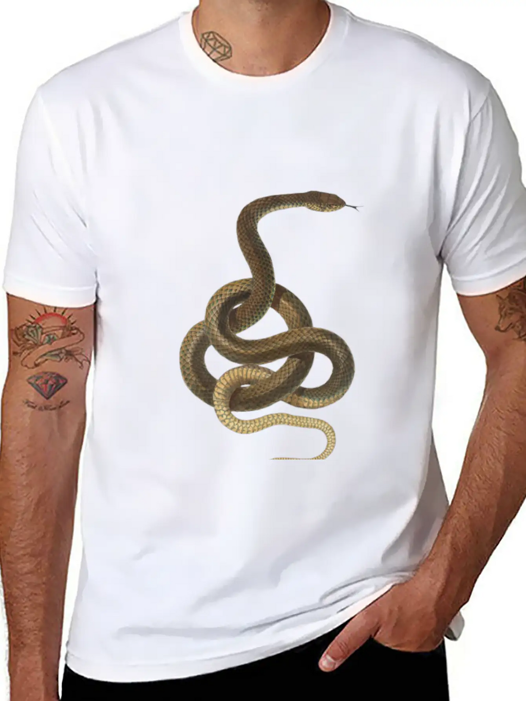Snake Stylish Everyday T-Shirt – Unisex Basic Cotton Tee