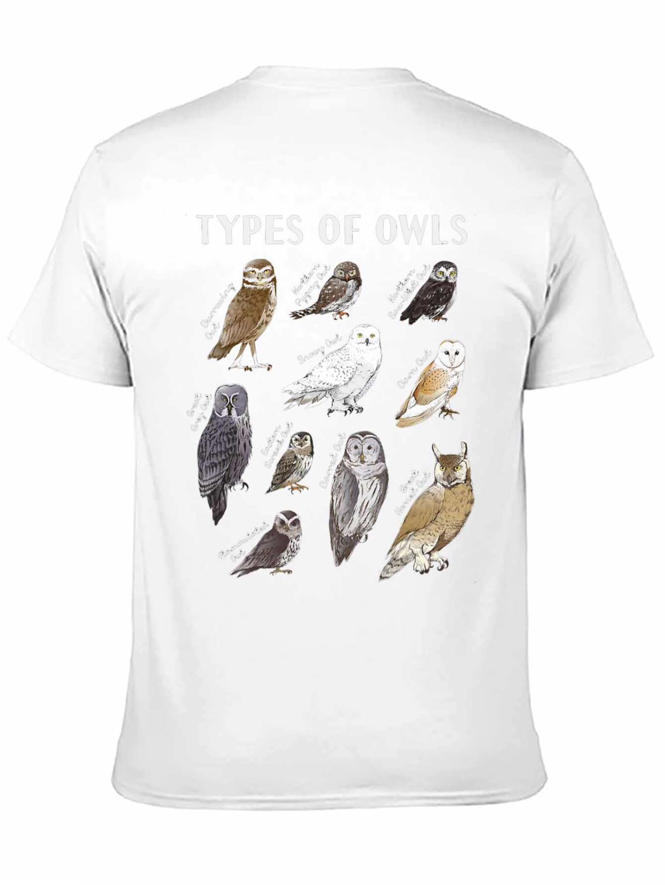 Types of Owls Graphic T-Shirt - Bird Lover Tee