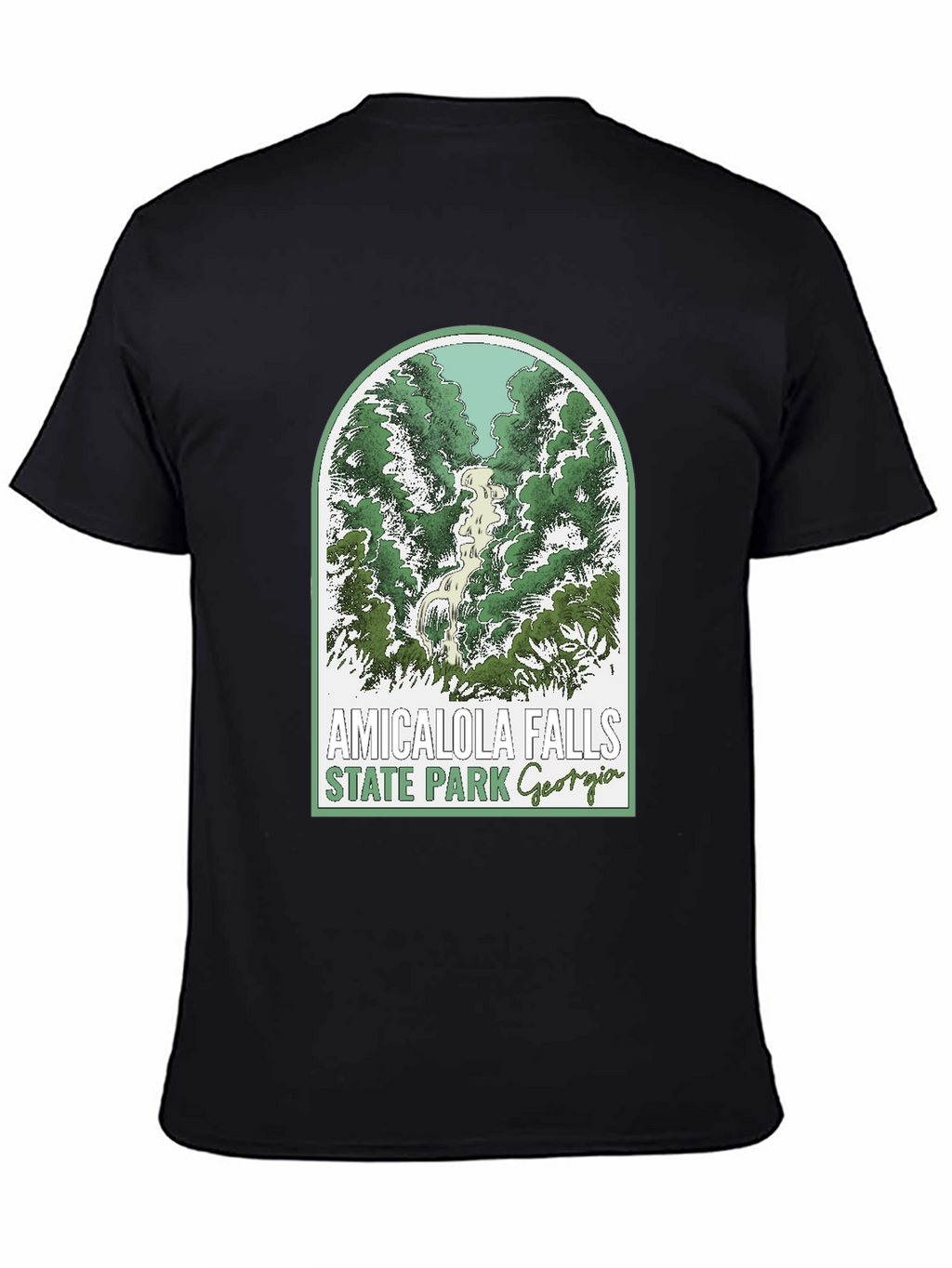Amicalola Falls State Park T-Shirt