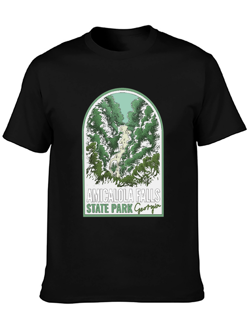 Amicalola Falls State Park T-Shirt