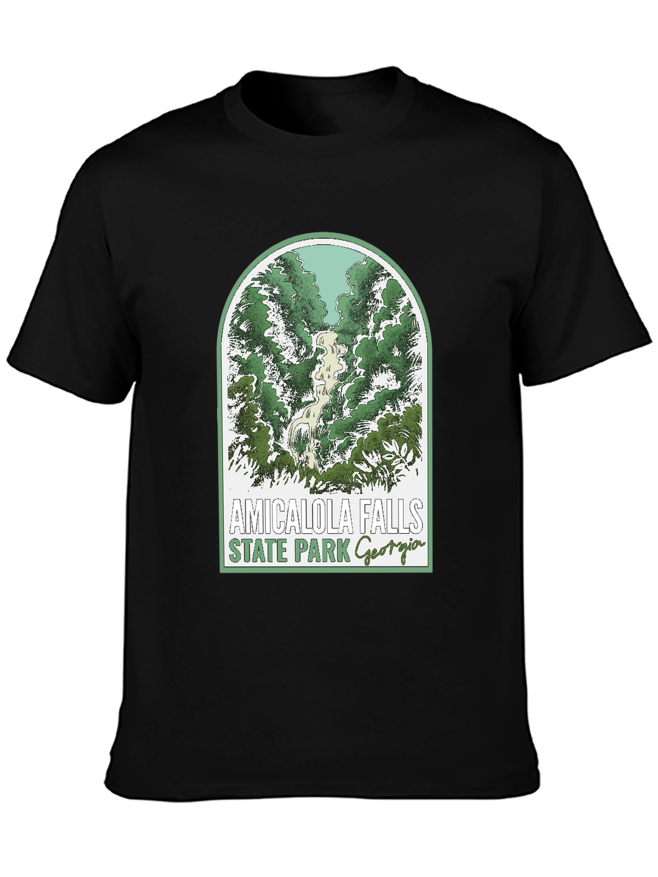 Amicalola Falls State Park T-Shirt
