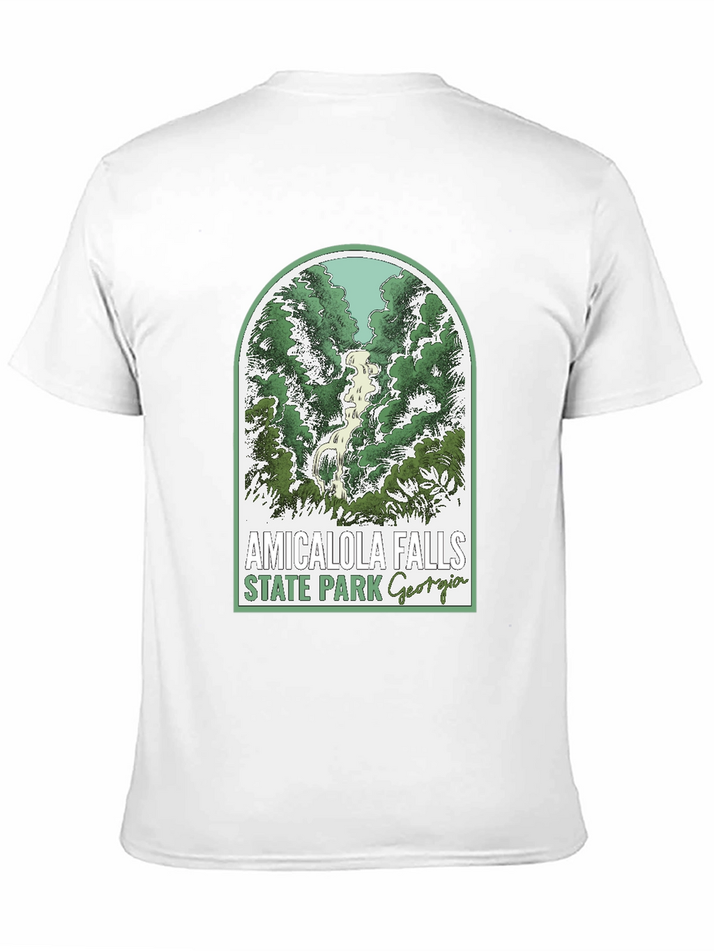 Amicalola Falls State Park T-Shirt