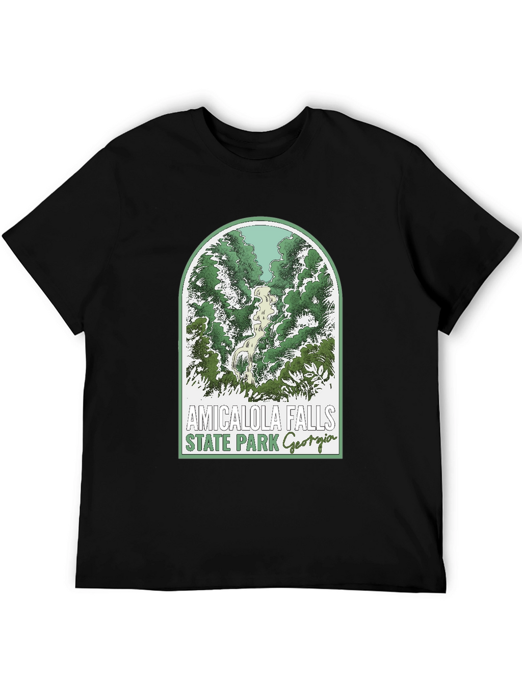 Amicalola Falls State Park T-Shirt