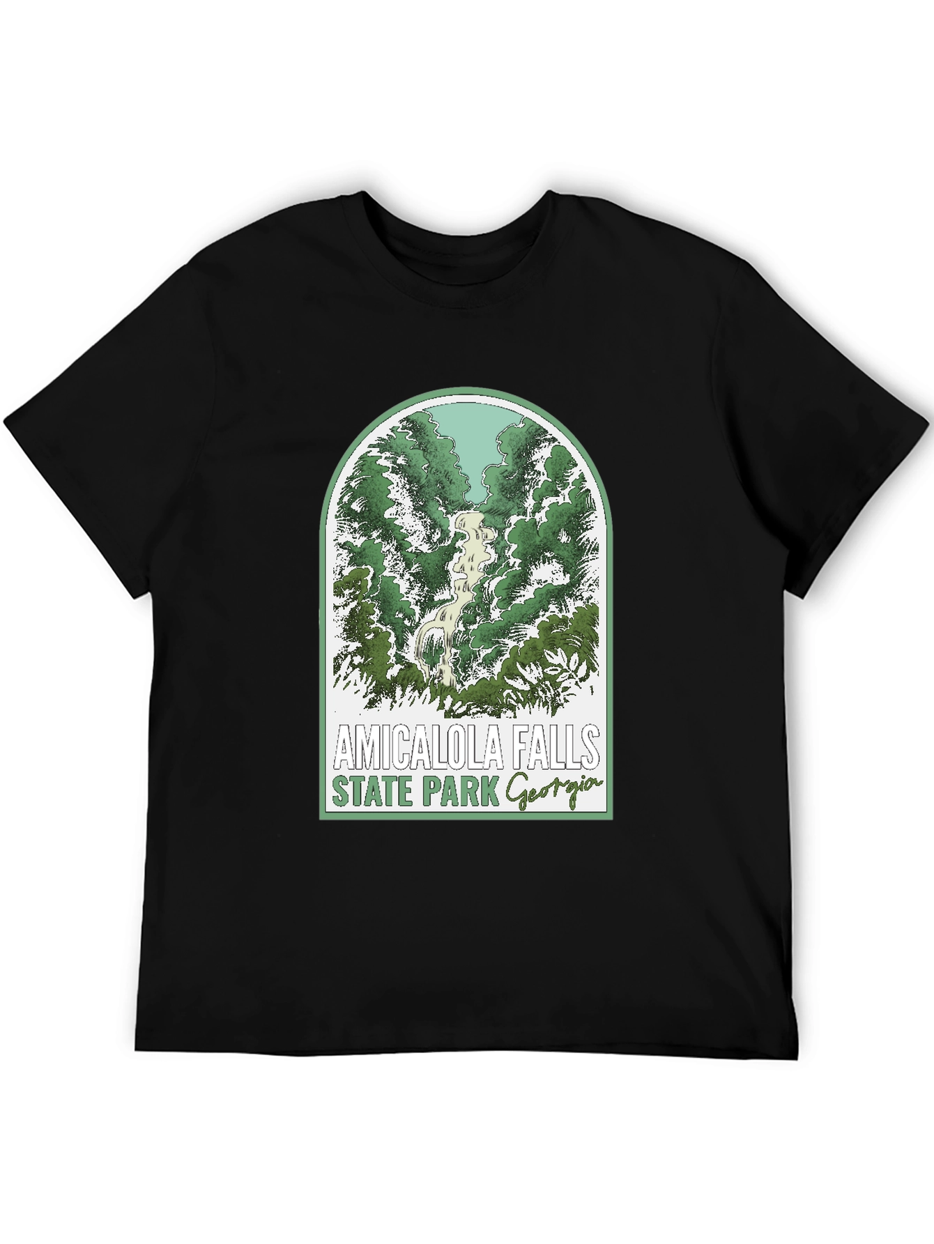 Amicalola Falls State Park T-Shirt