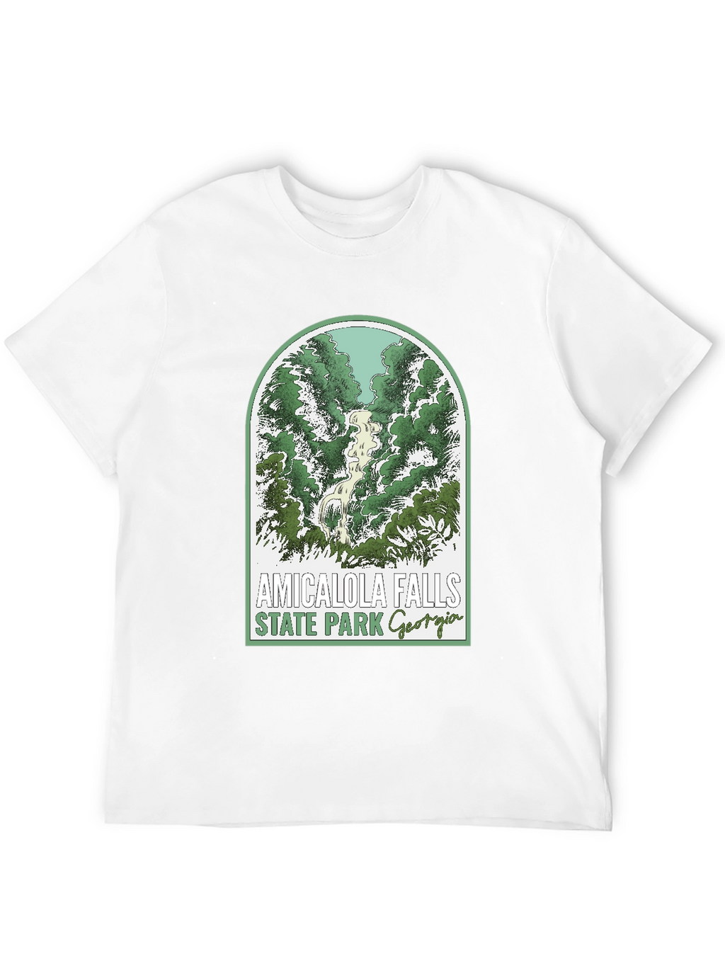 Amicalola Falls State Park T-Shirt