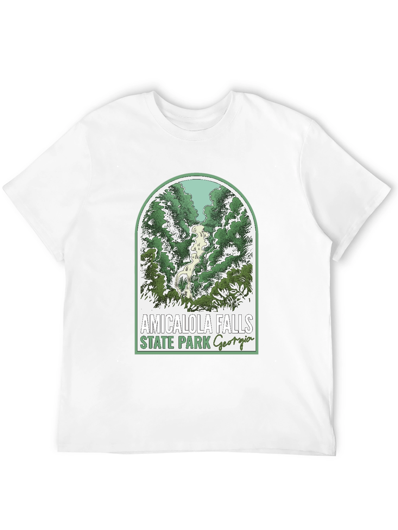 Amicalola Falls State Park T-Shirt