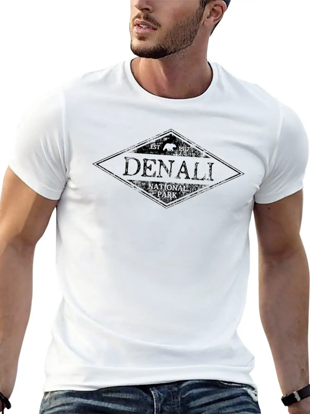 Vintage Denali National Park Alaska Breathable Soft Cotton T-Shirt – Timeless Casual Look