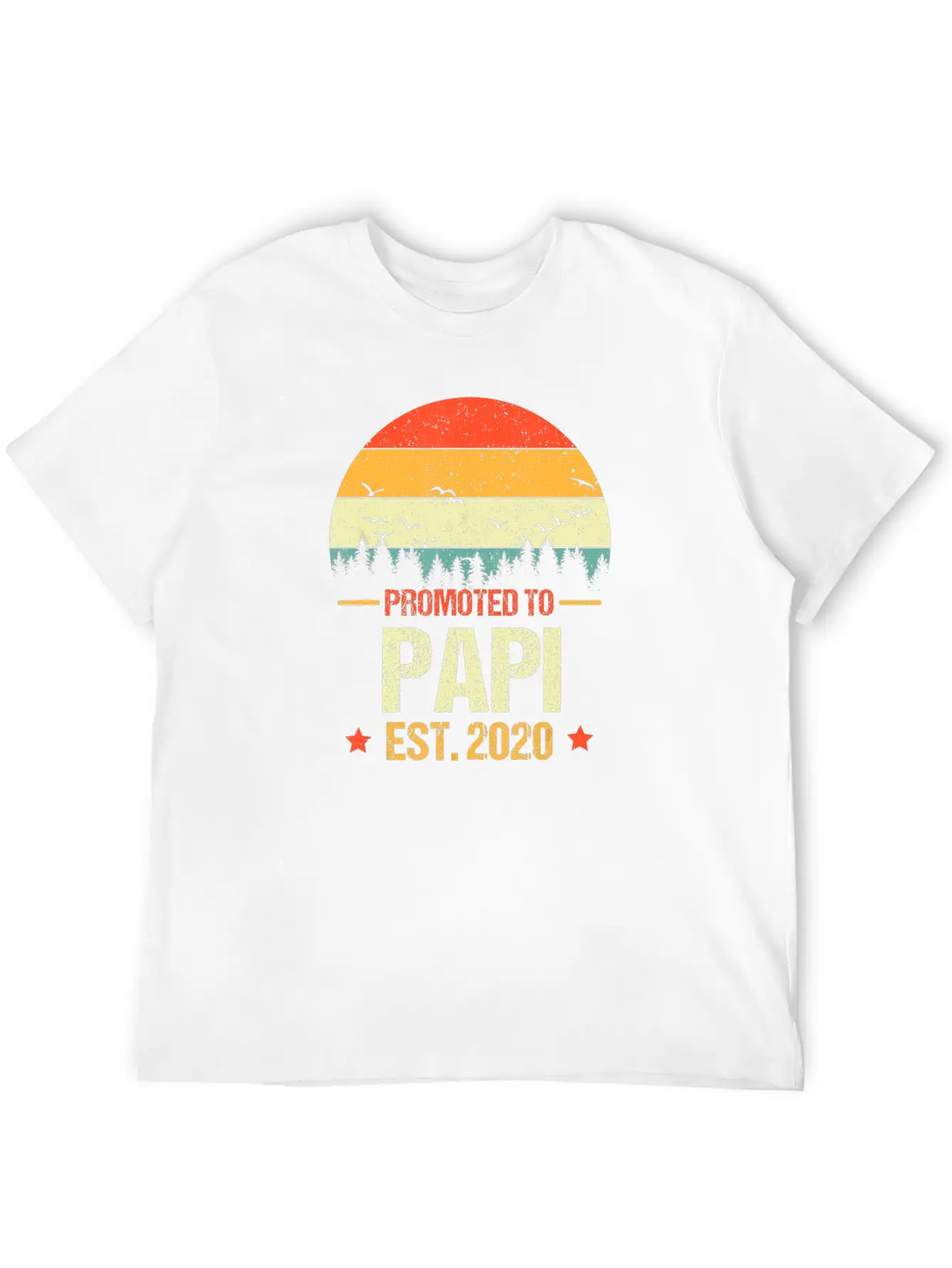 Vintage Promoted To Papi Est 2020 New Papi Gift Breathable Soft Cotton T-Shirt – Timeless Casual Look