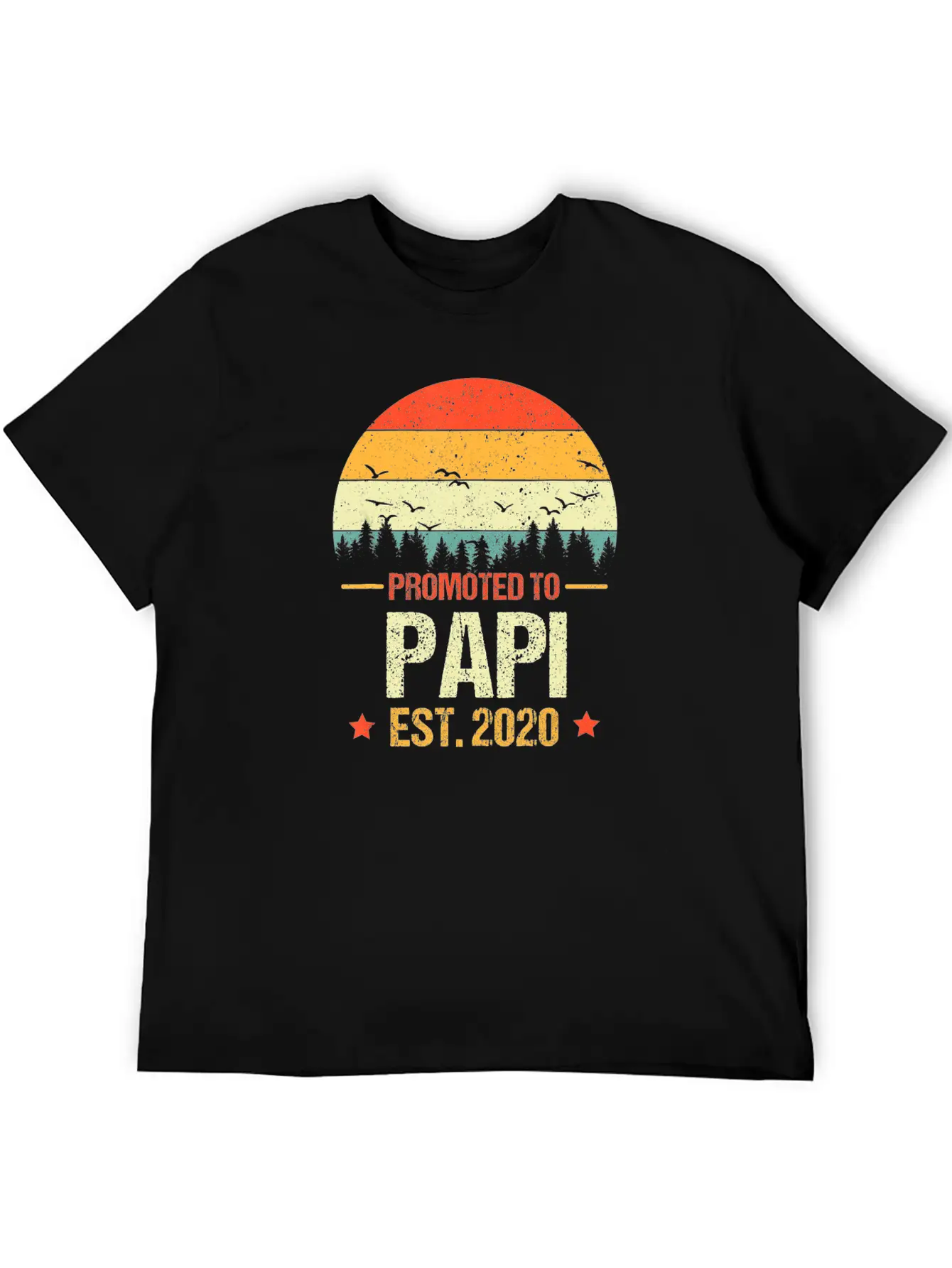 Vintage Promoted To Papi Est 2020 New Papi Gift Breathable Soft Cotton T-Shirt – Timeless Casual Look