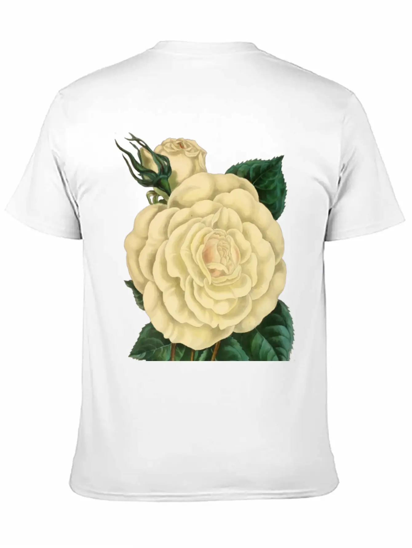 Vintage Rose Illustration Unisex Short Sleeve Soft Cotton T-Shirt – Casual Everyday Wear