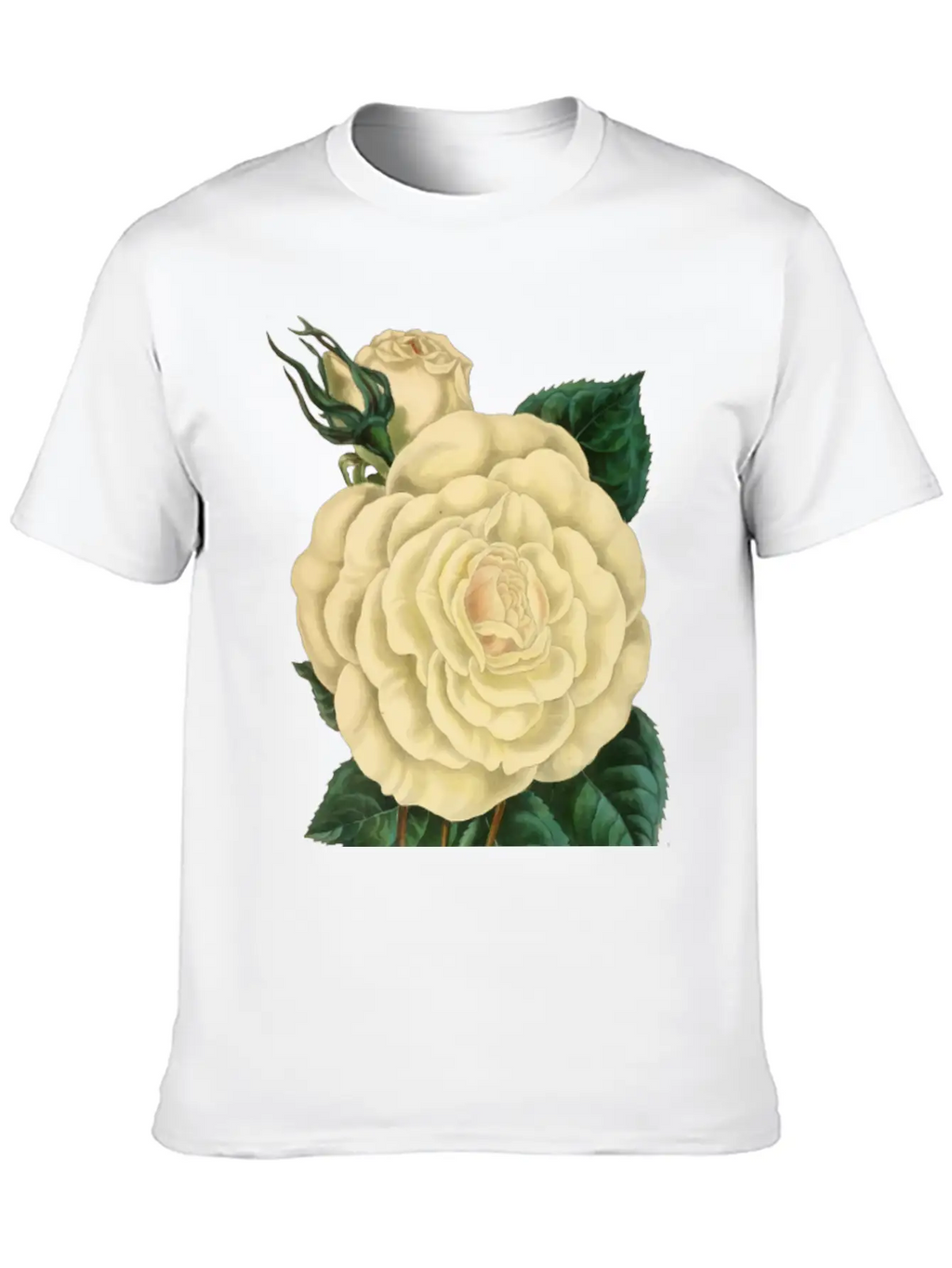 Vintage Rose Illustration Unisex Short Sleeve Soft Cotton T-Shirt – Casual Everyday Wear