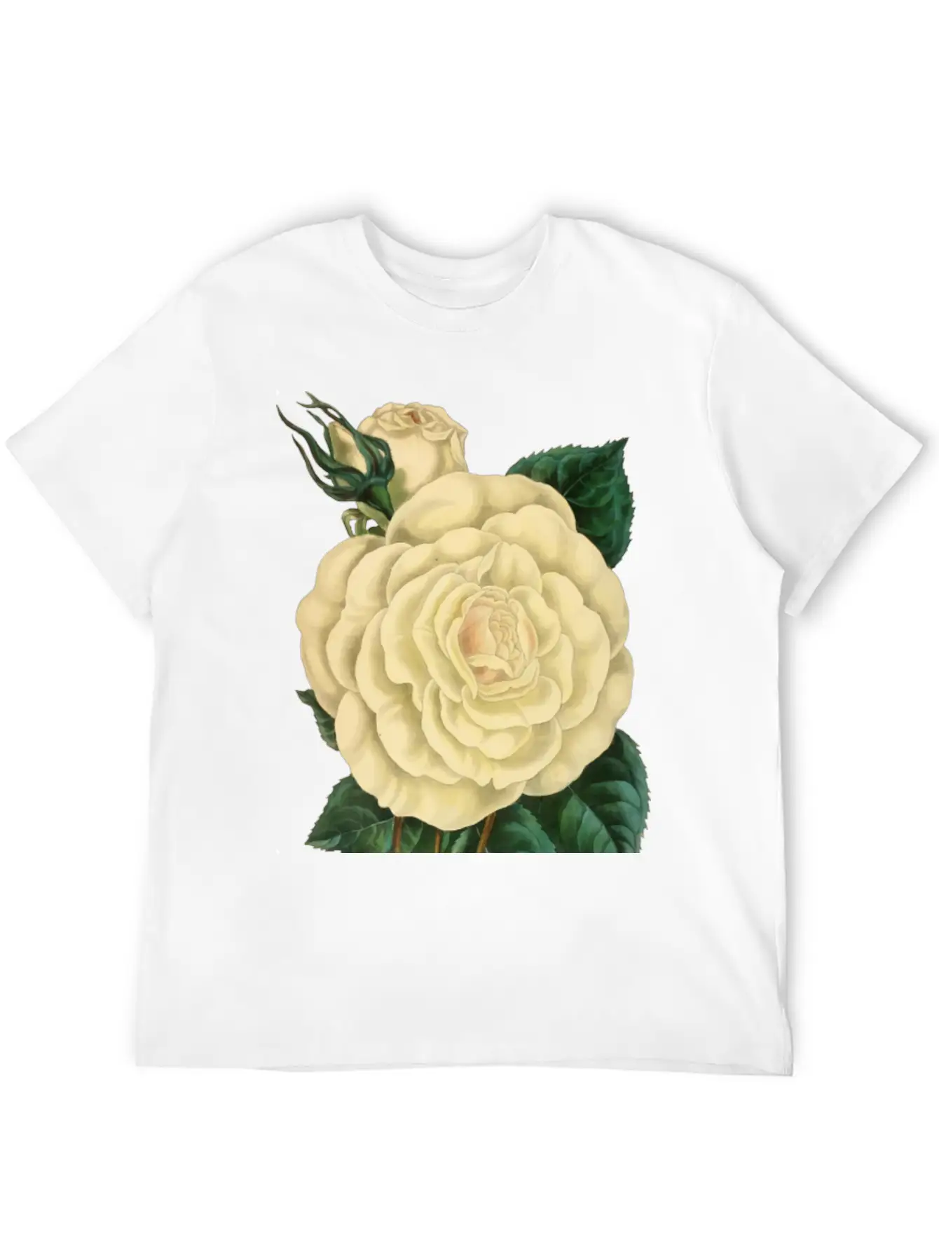 Vintage Rose Illustration Unisex Short Sleeve Soft Cotton T-Shirt – Casual Everyday Wear