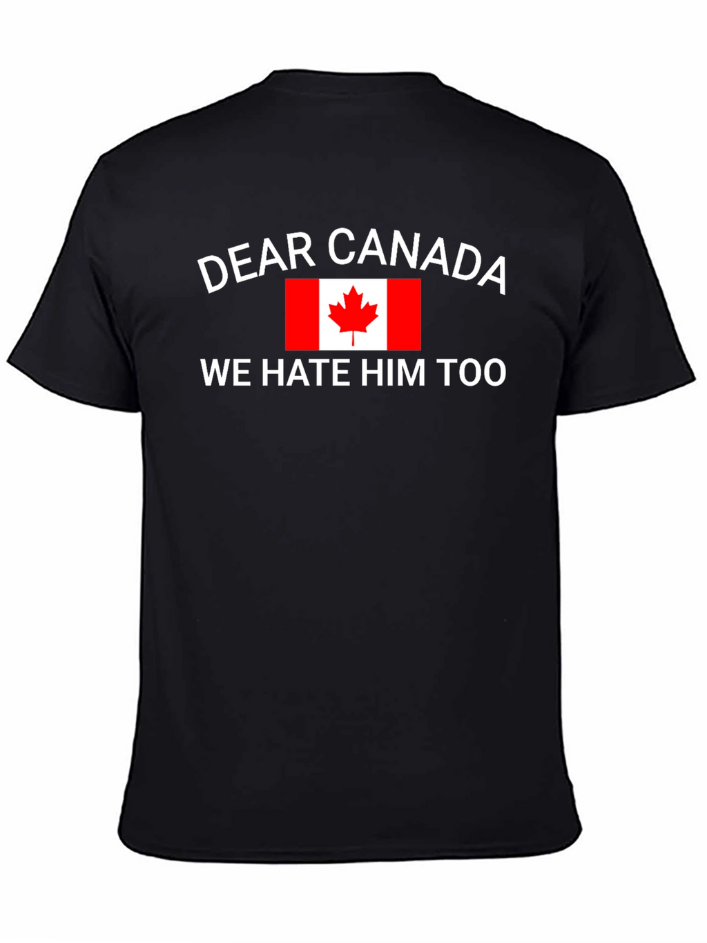 Dear Canada Funny Graphic T-Shirt