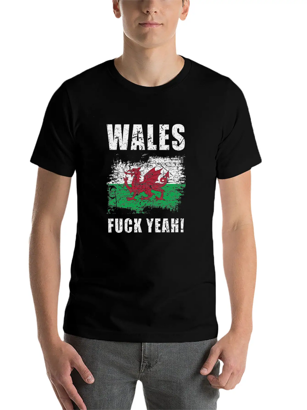 Wales Country Stylish Everyday T-Shirt – Unisex Basic Cotton Tee