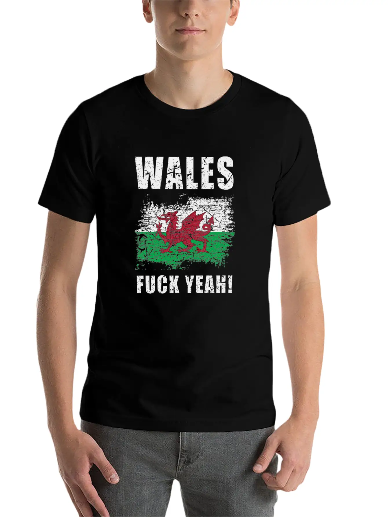 Wales Country Stylish Everyday T-Shirt – Unisex Basic Cotton Tee