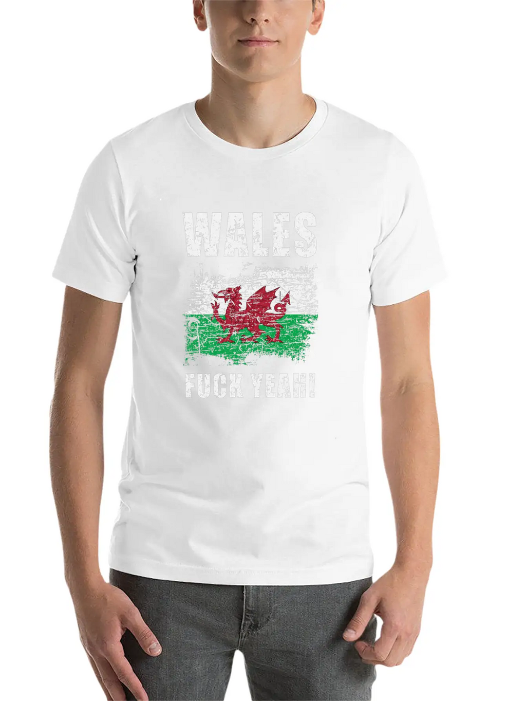 Wales Country Stylish Everyday T-Shirt – Unisex Basic Cotton Tee