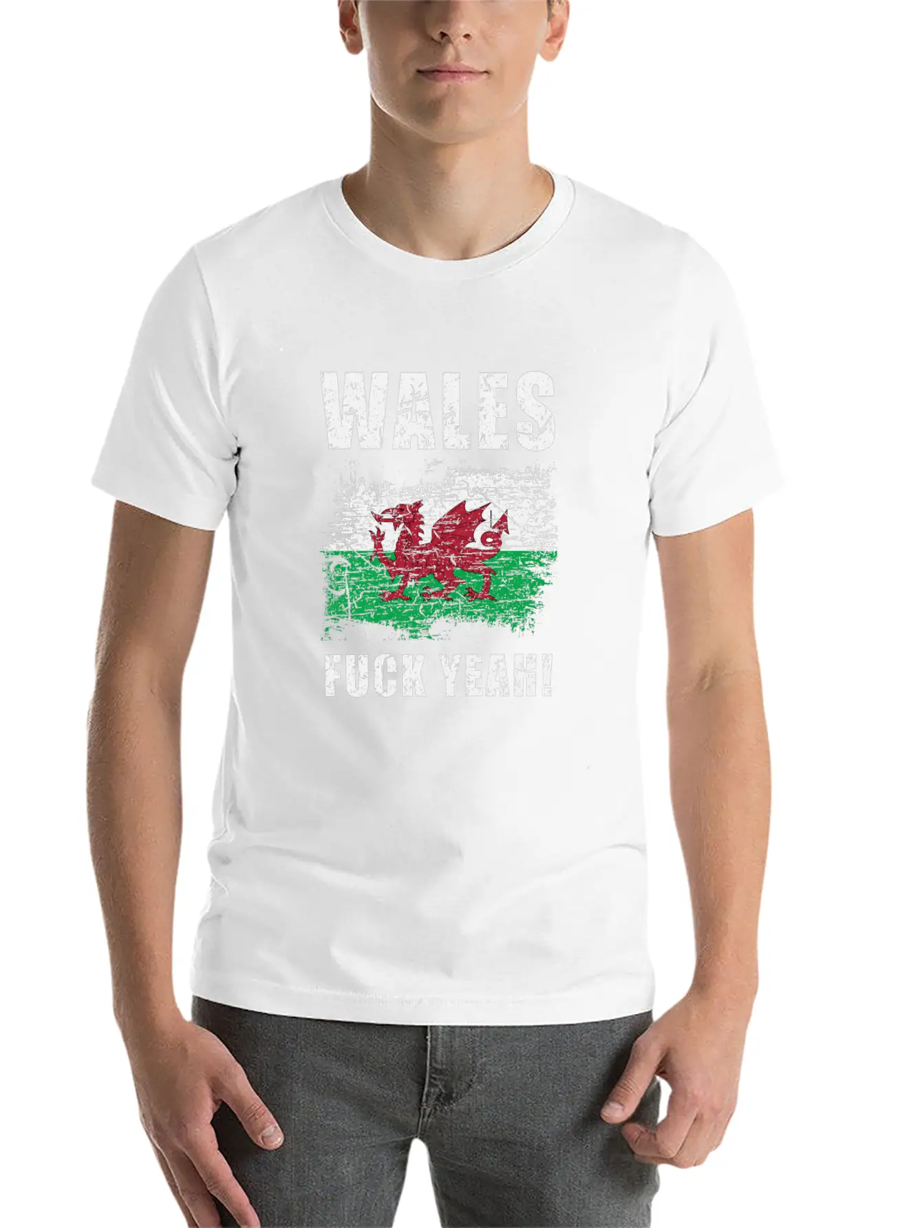 Wales Country Stylish Everyday T-Shirt – Unisex Basic Cotton Tee
