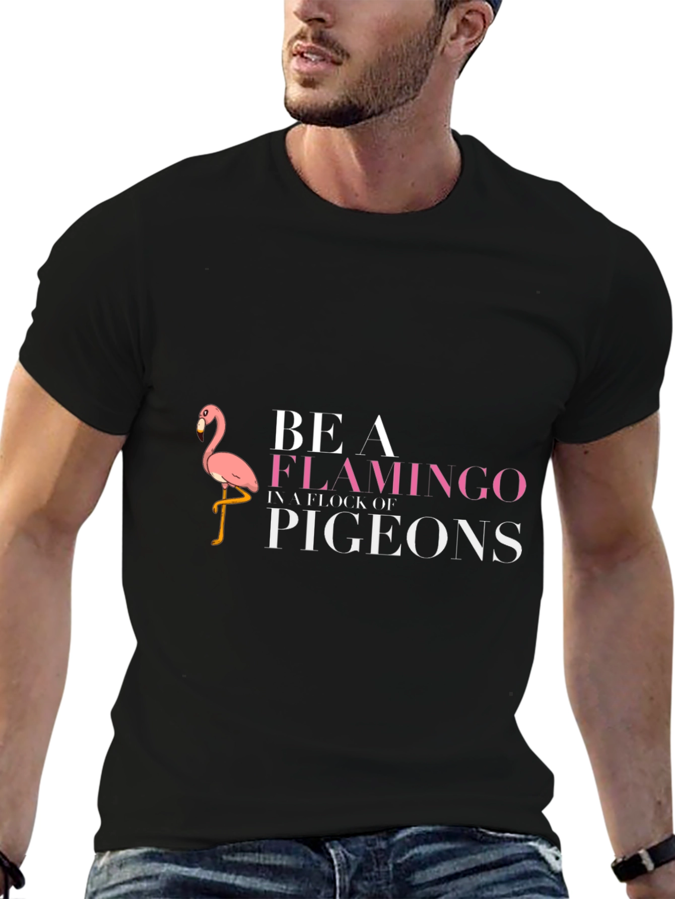 Be A Flamingo T-Shirt