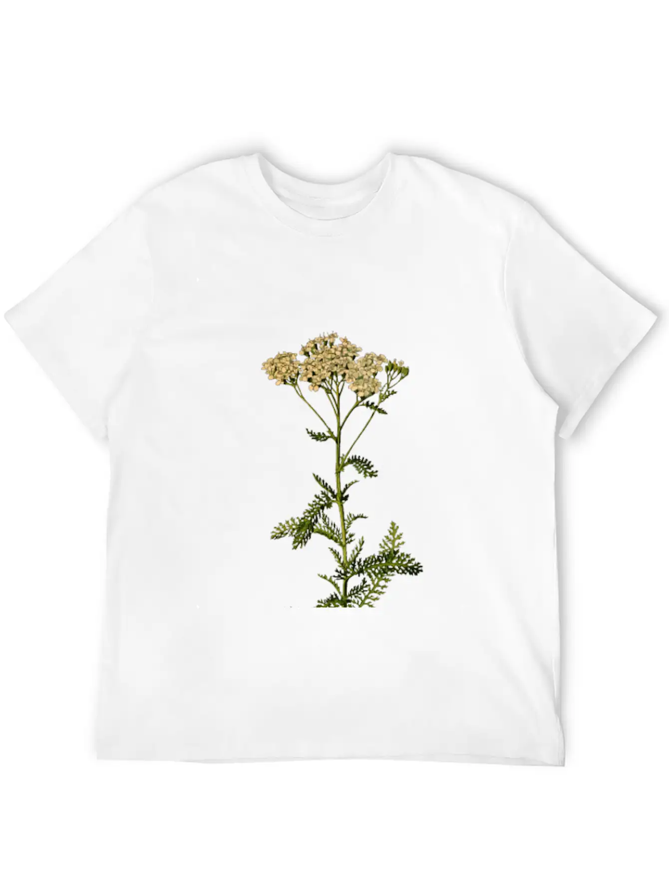 Yarrow (detailed) Unisex Short Sleeve Soft Cotton T-Shirt – Casual Everyday Wear
